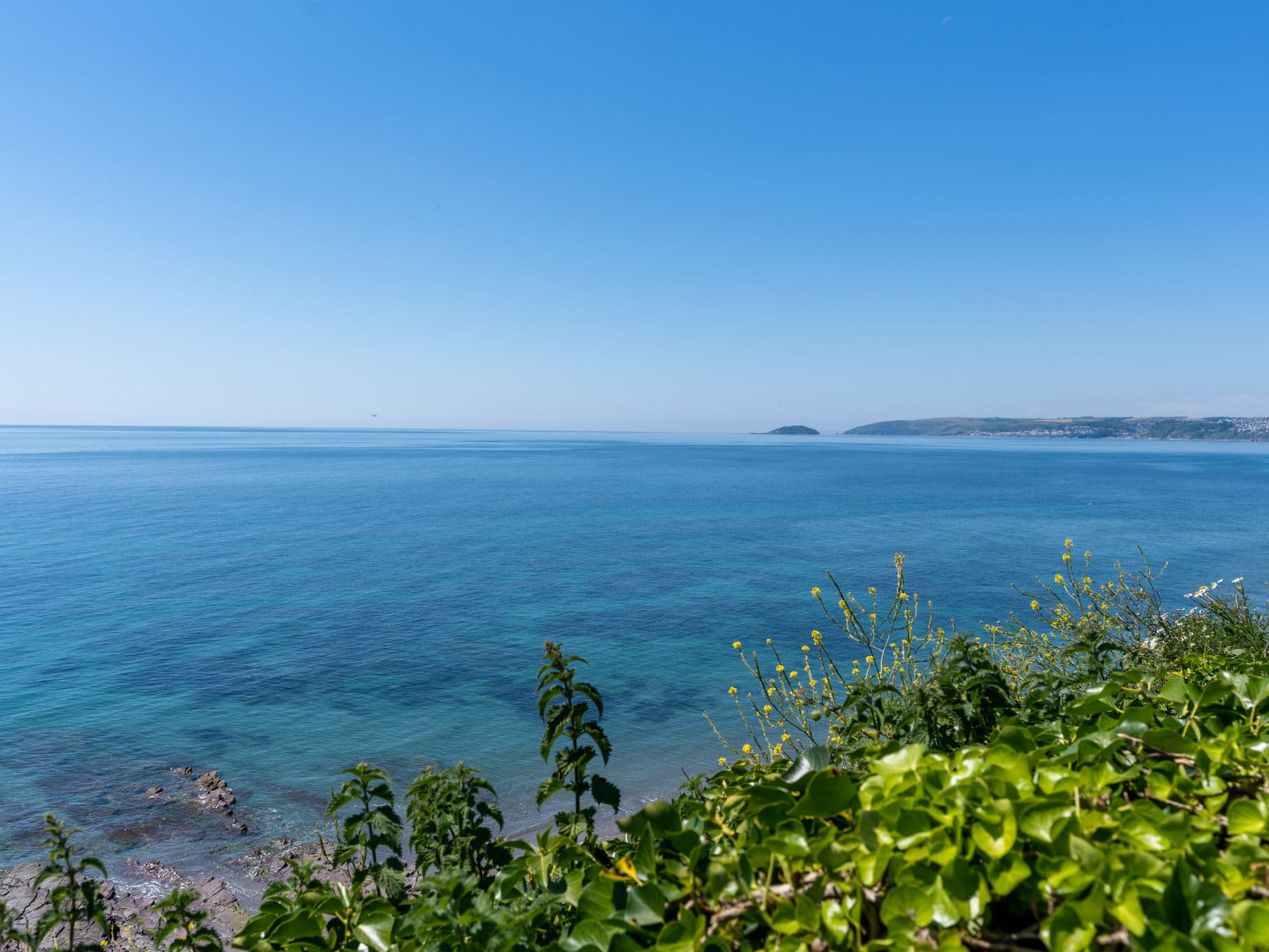 View