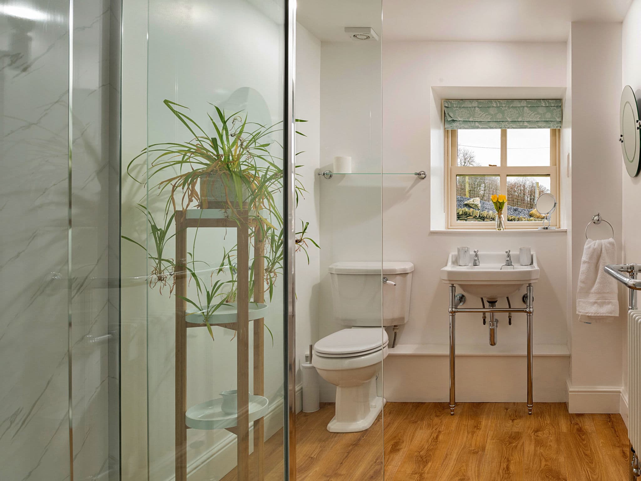 Bathroom / Wellness