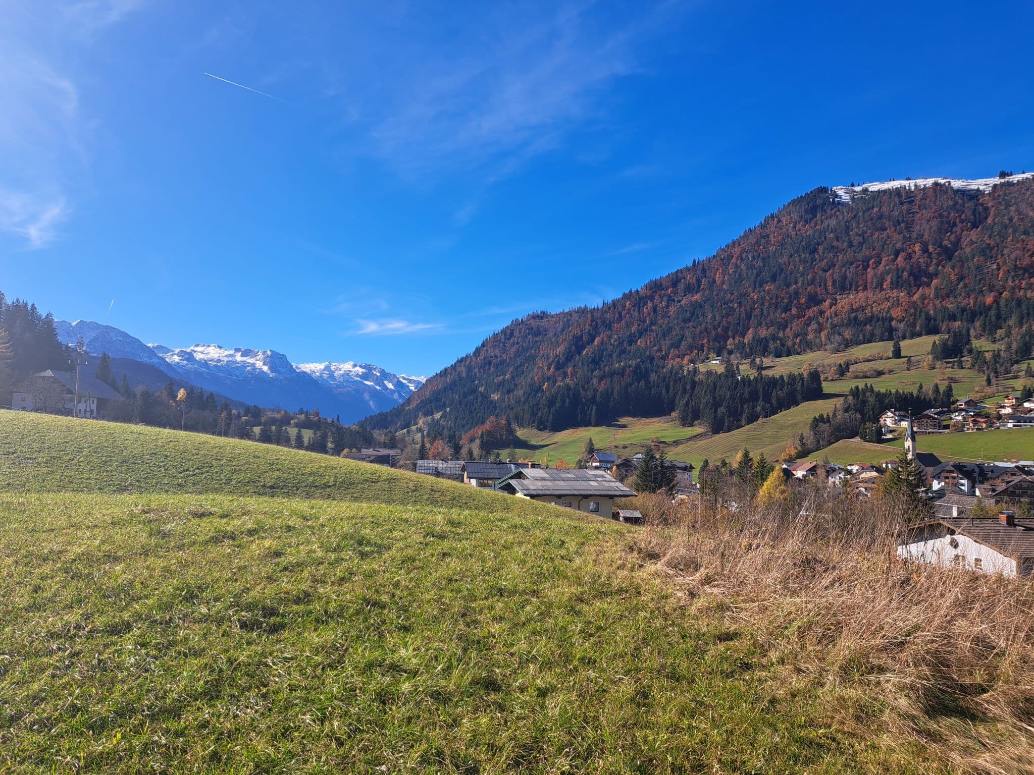 View