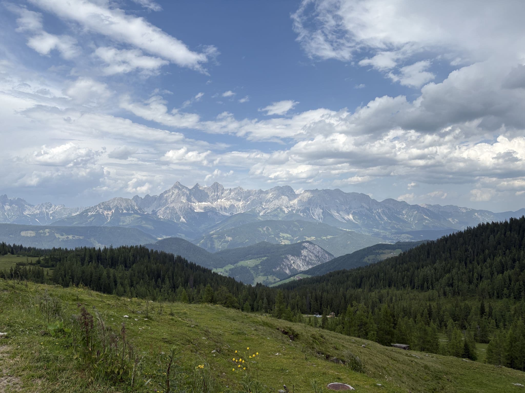 View