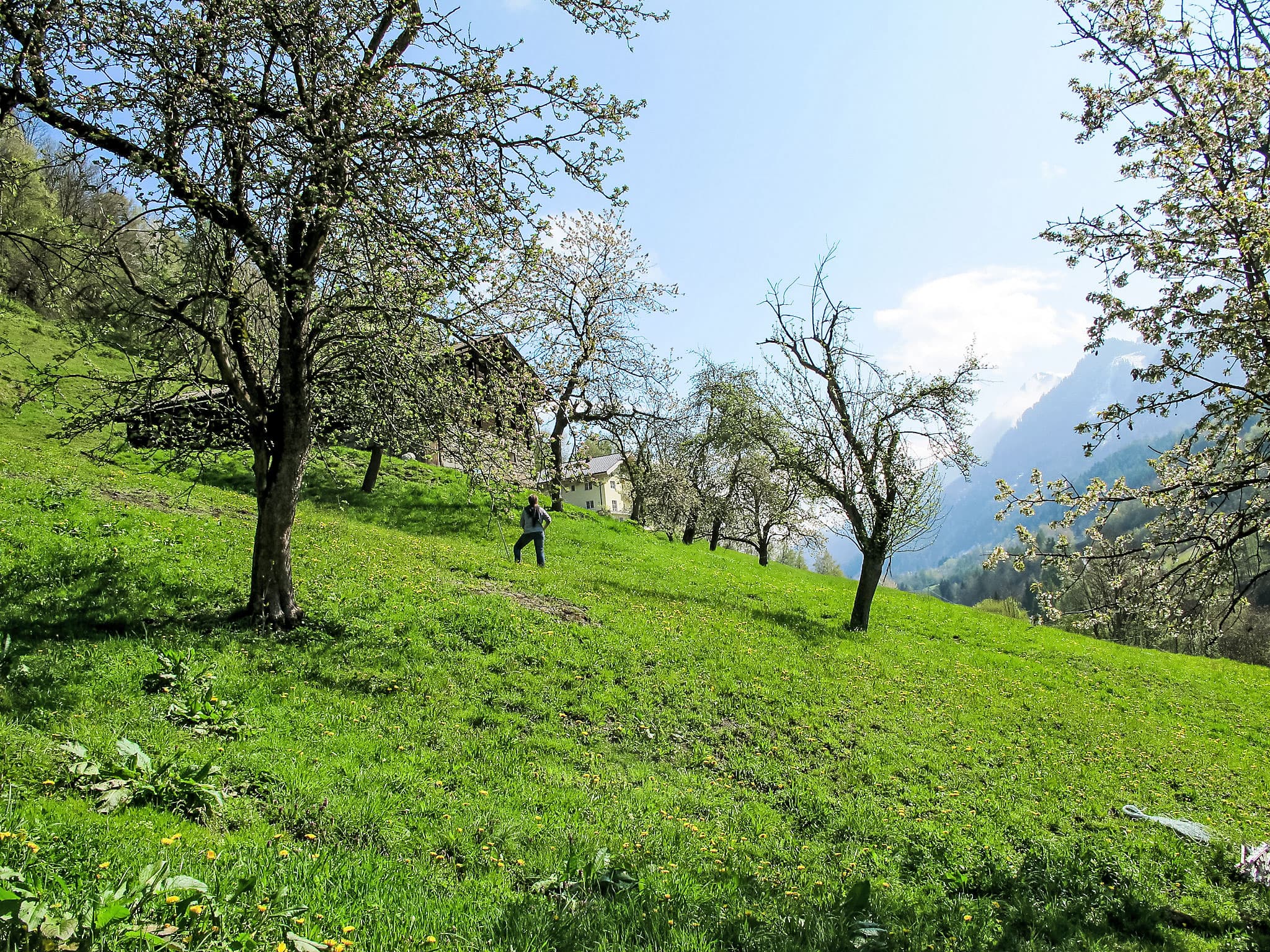 View
