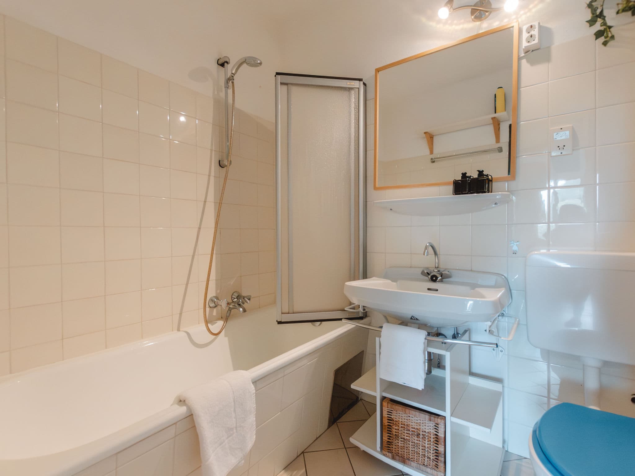 Bathroom / Wellness