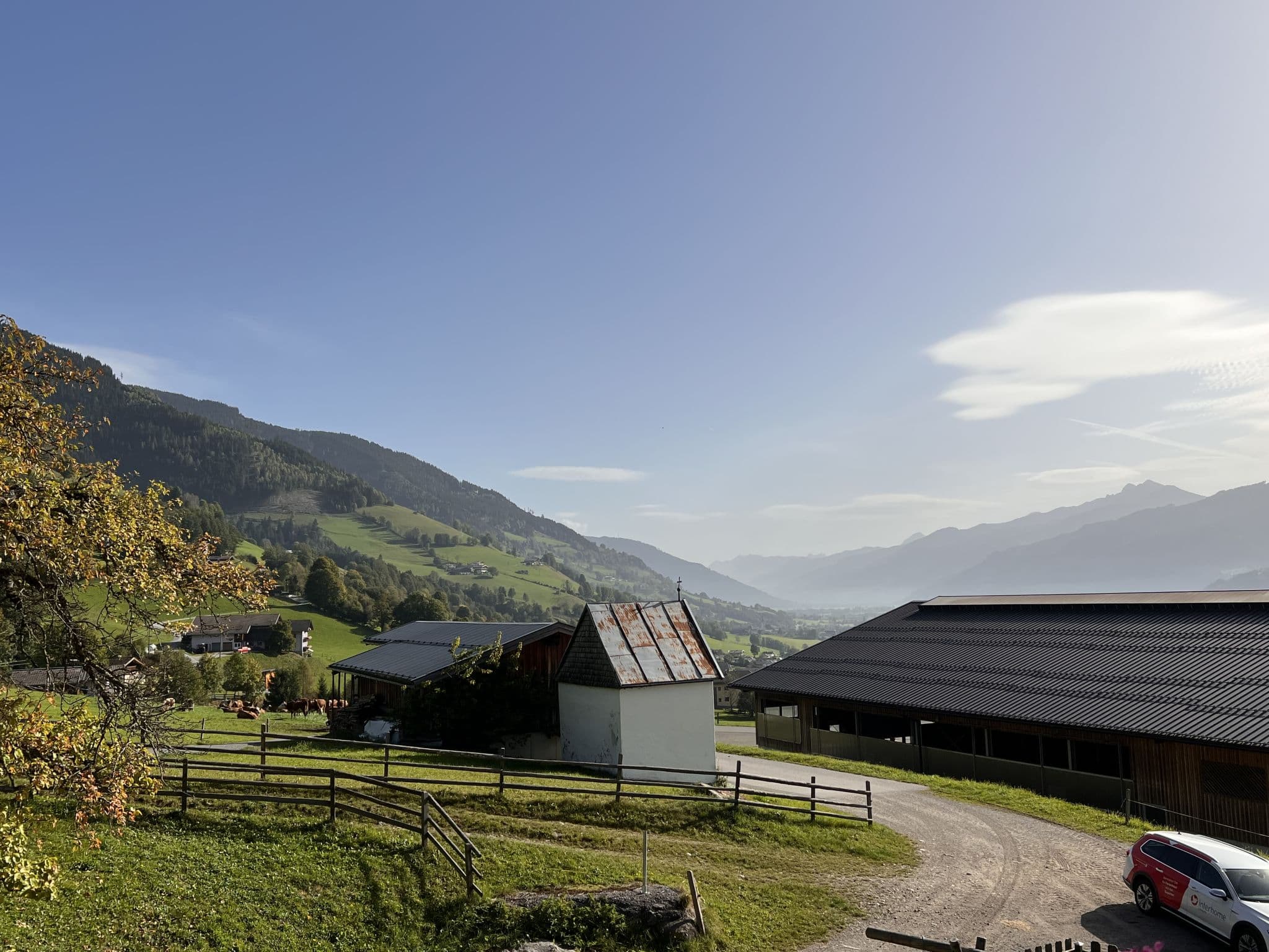 View