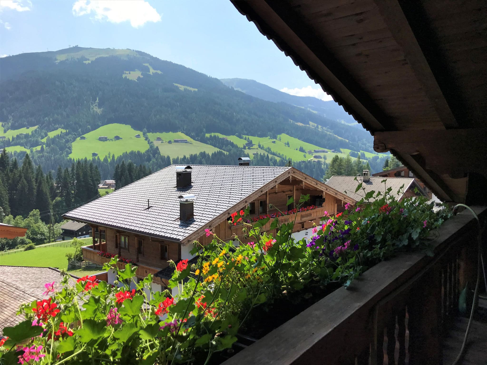 View