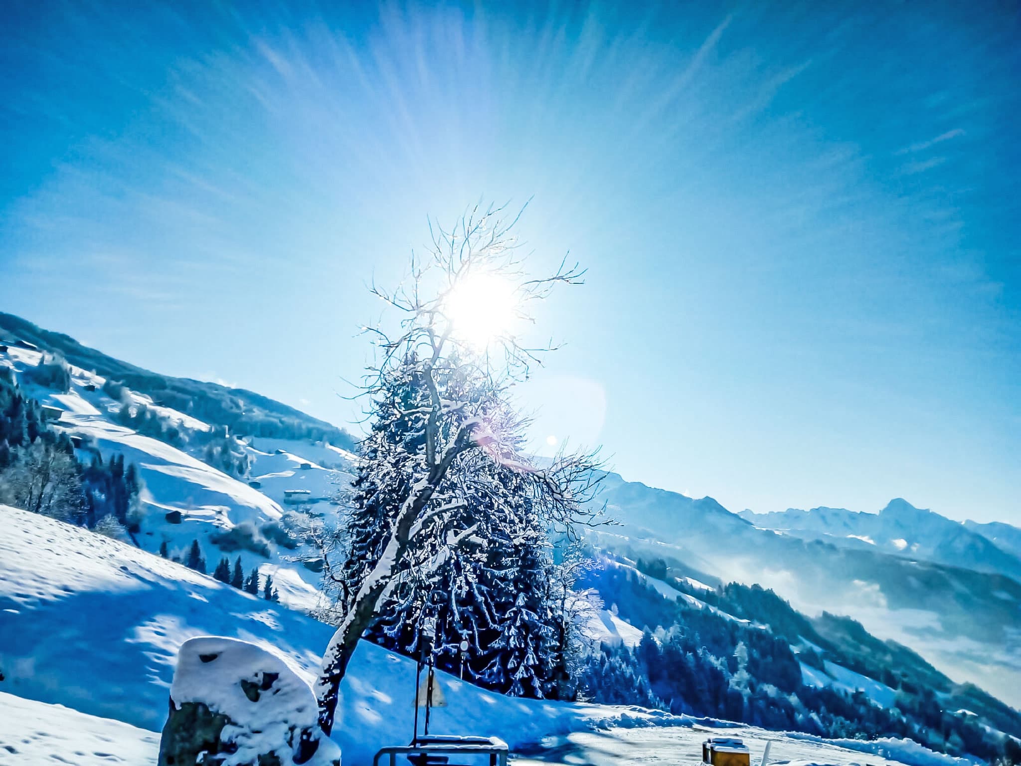 View