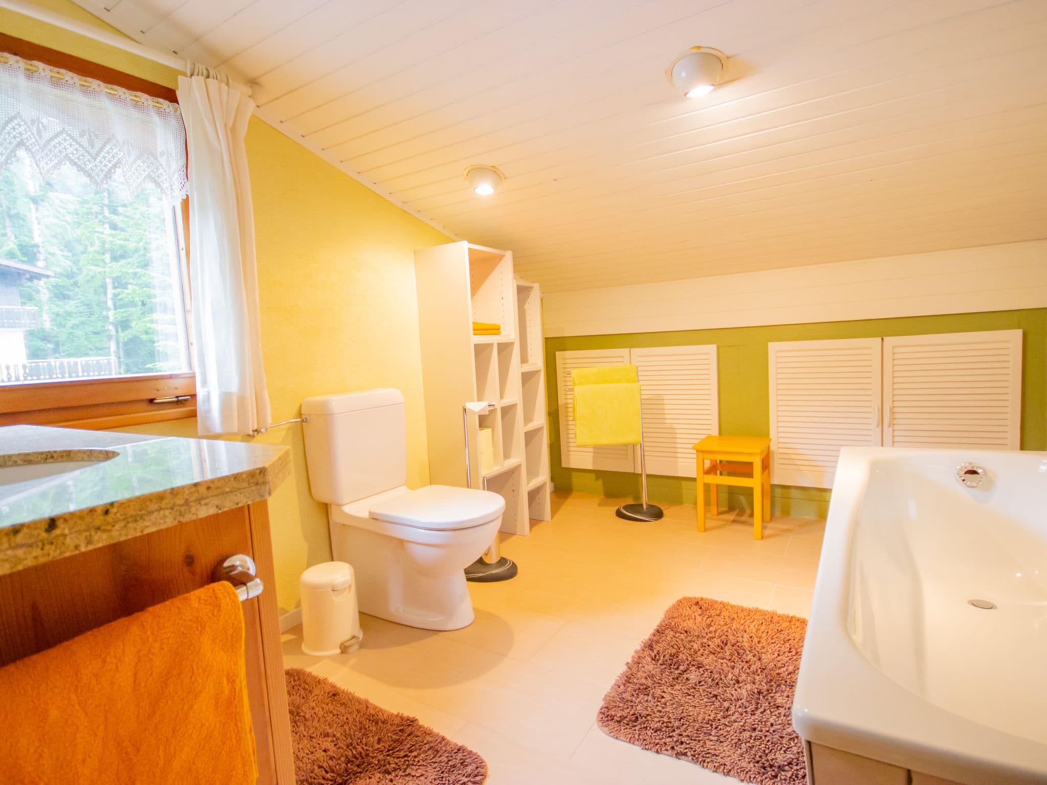 Bathroom / Wellness