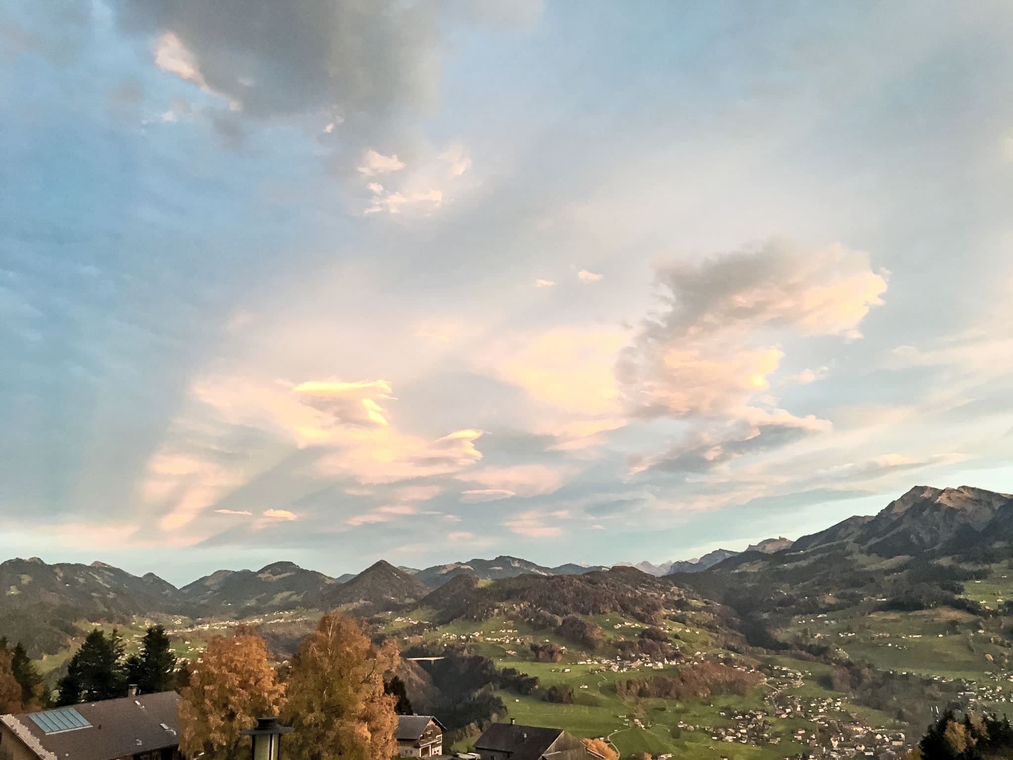 View