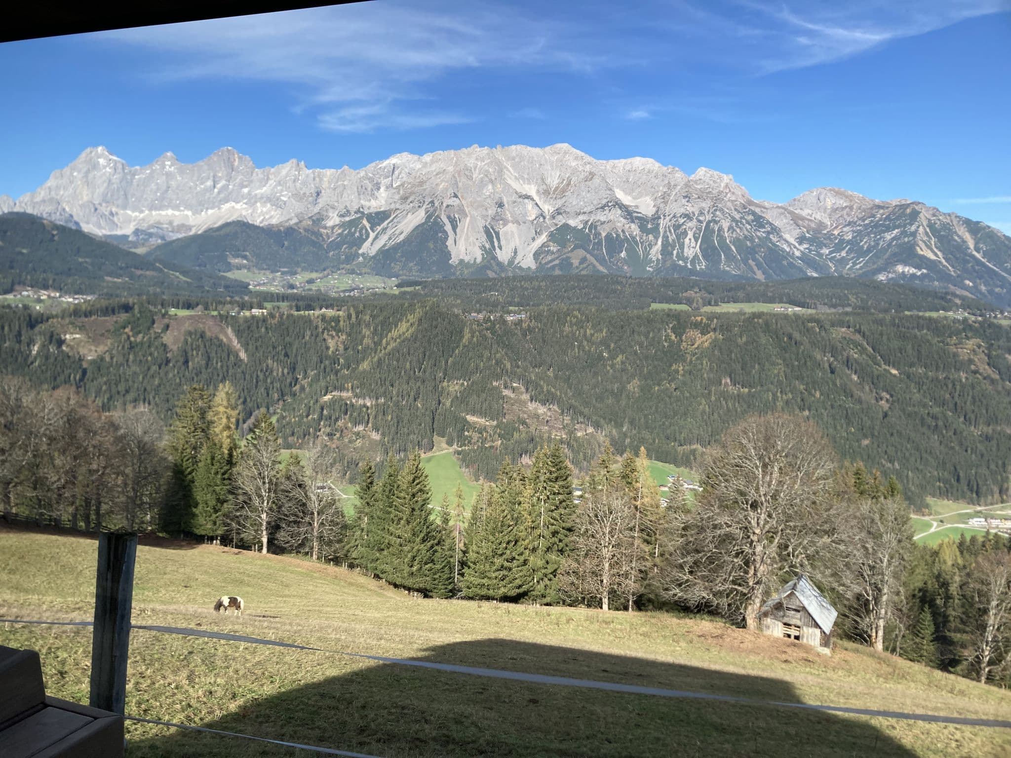 View