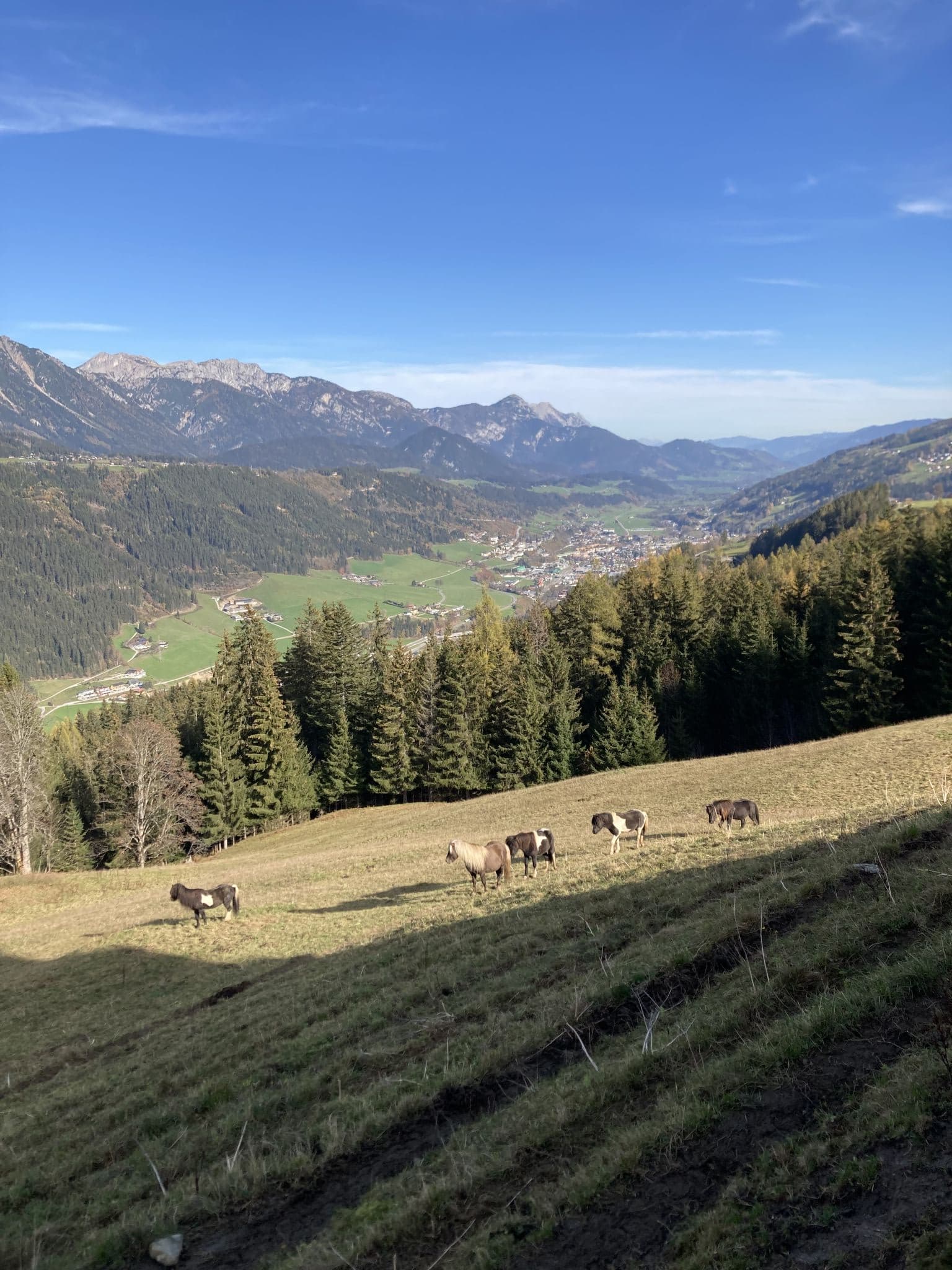 View