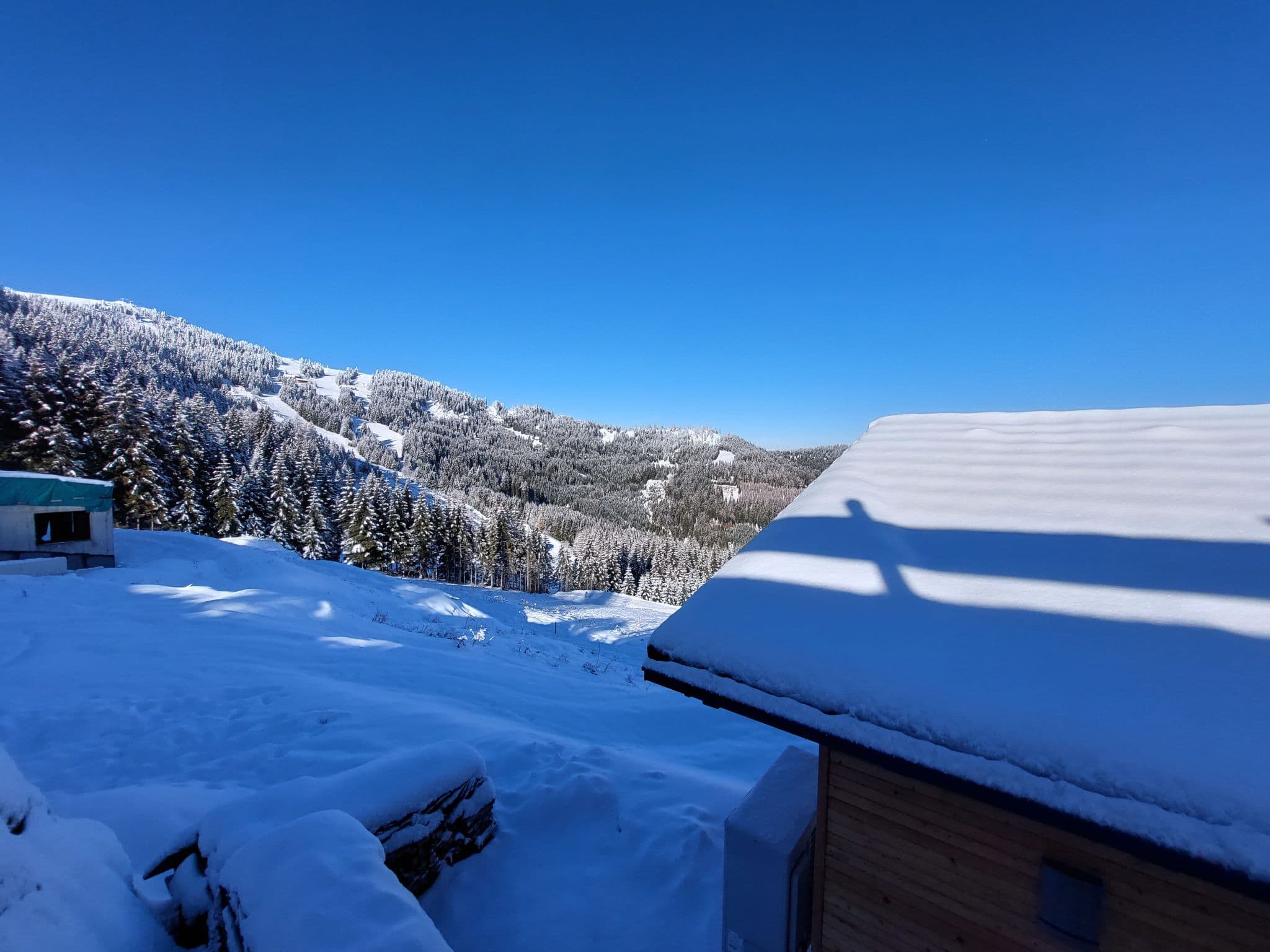 View