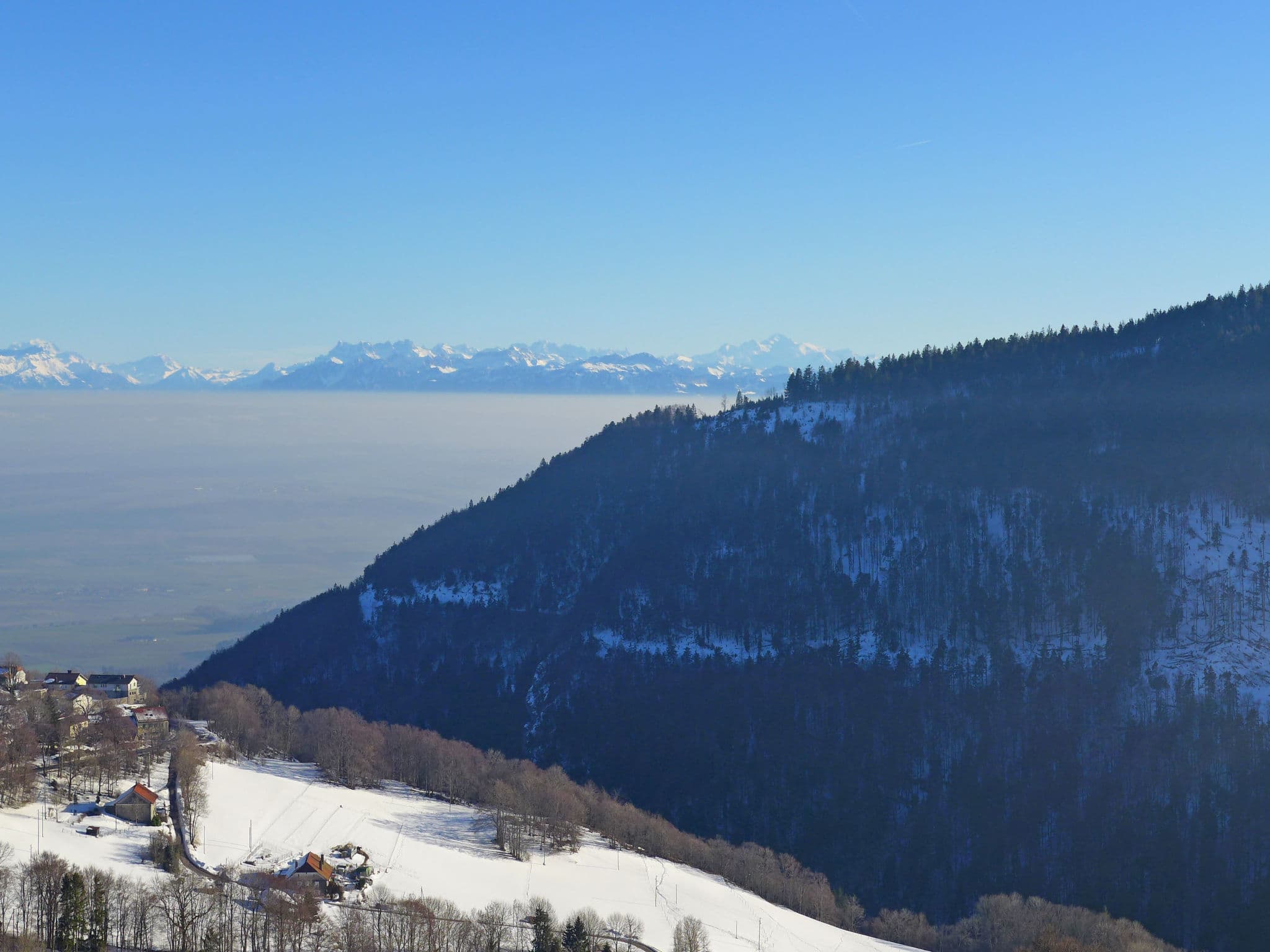 View