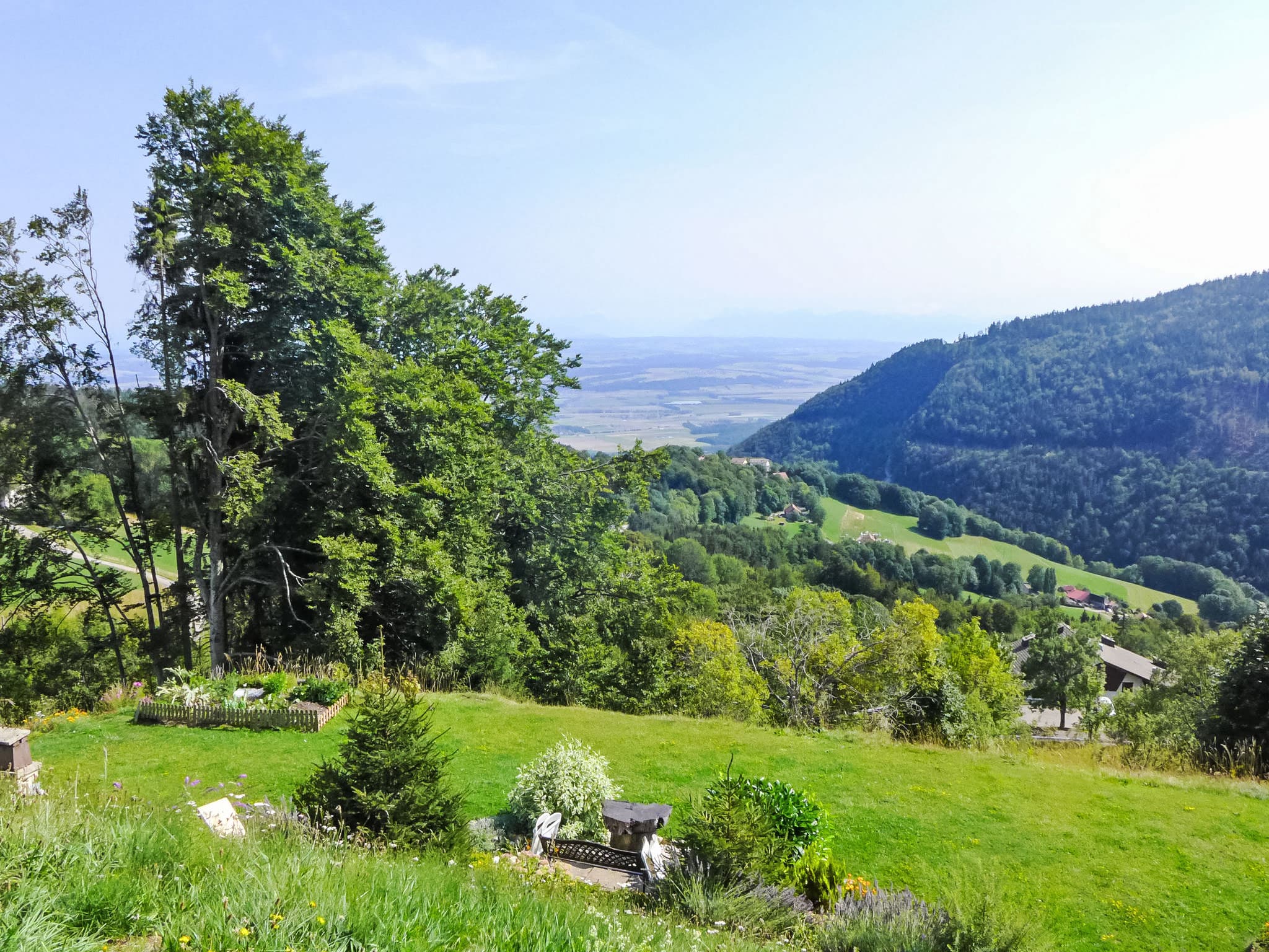 View