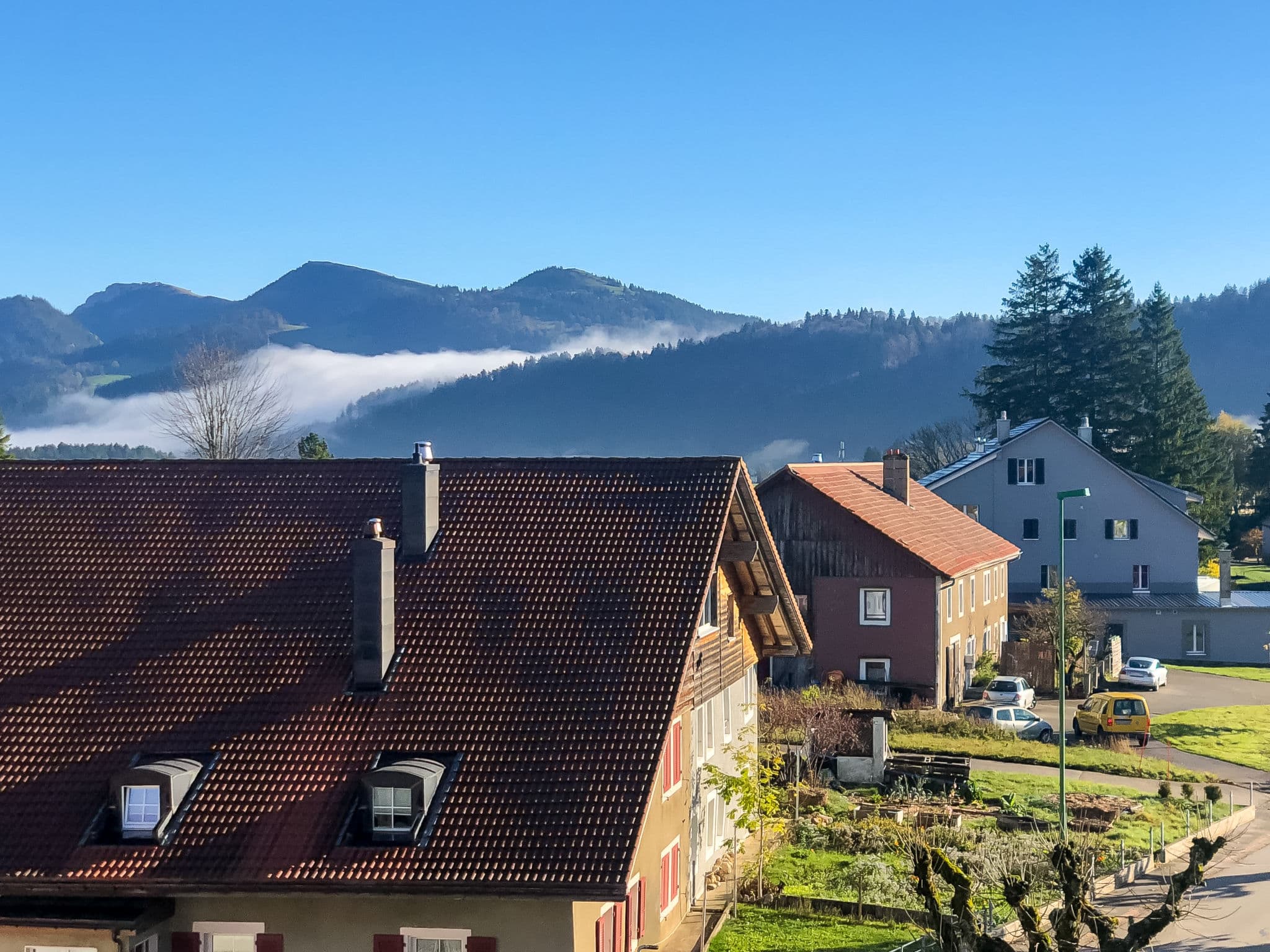 View