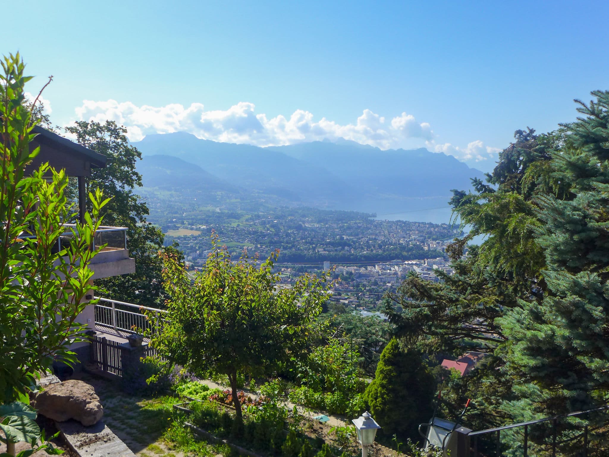 View