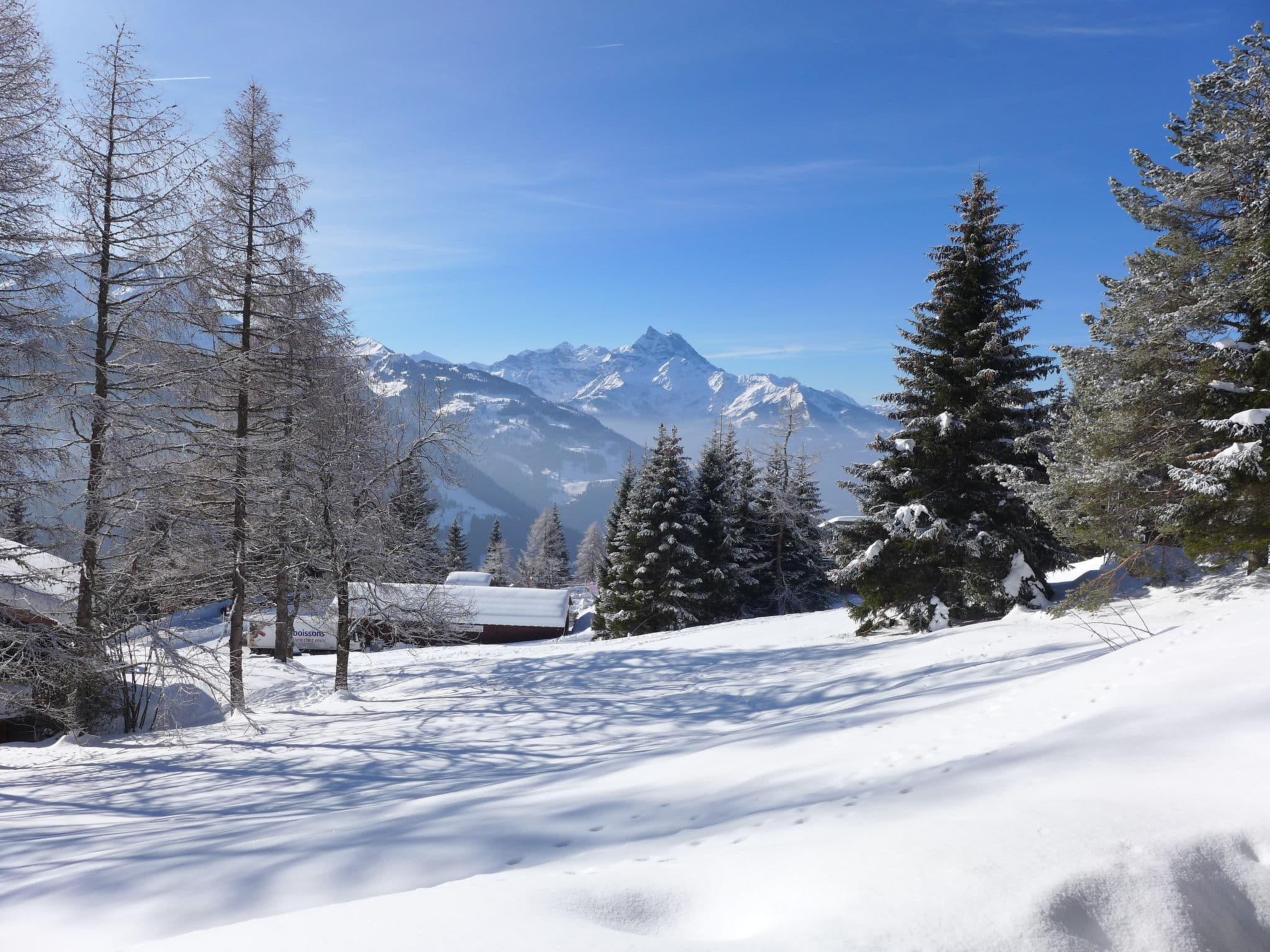 View