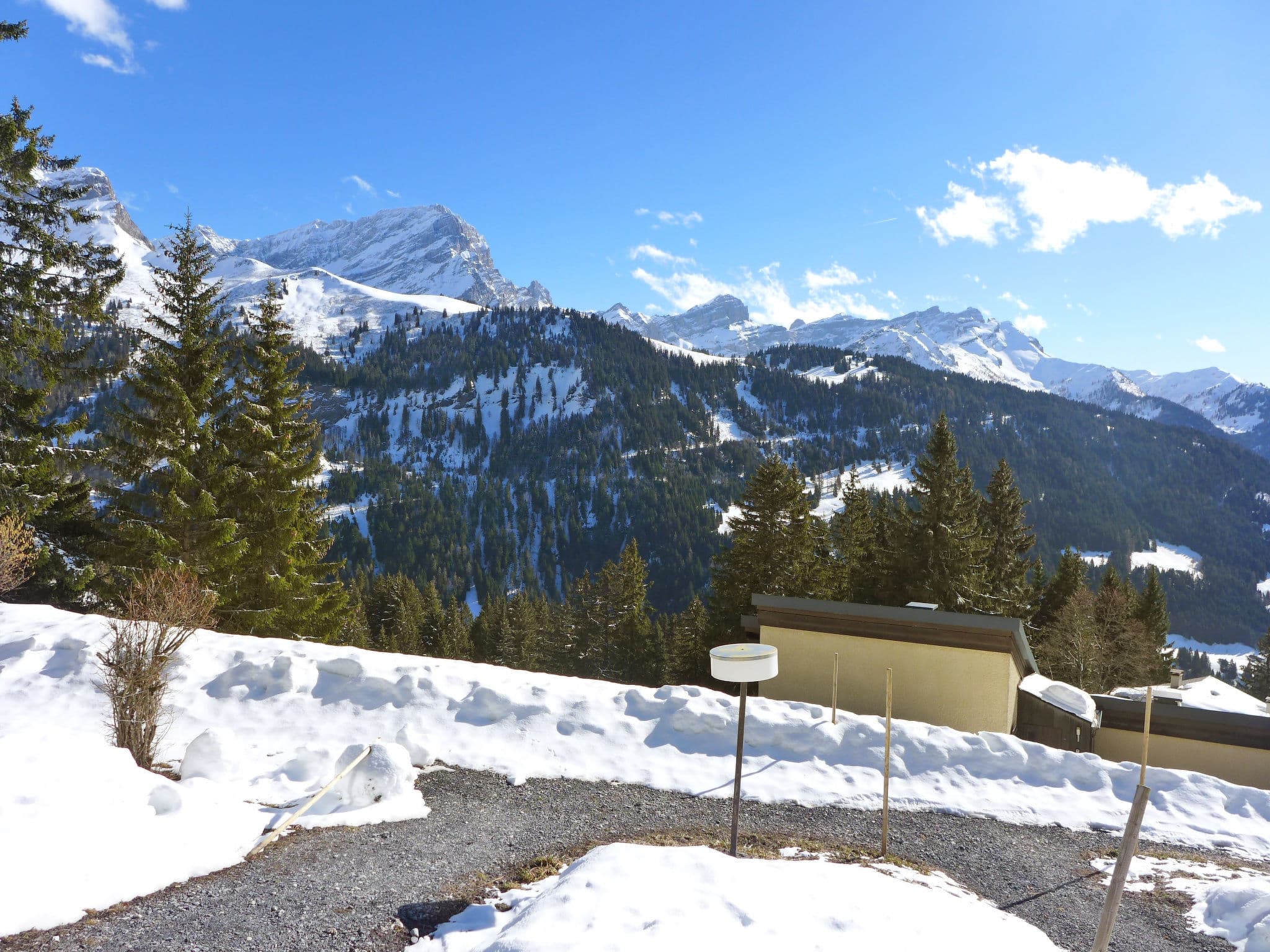 View