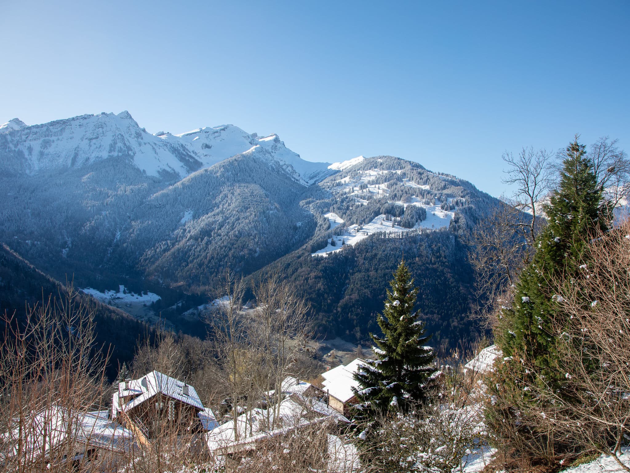 View