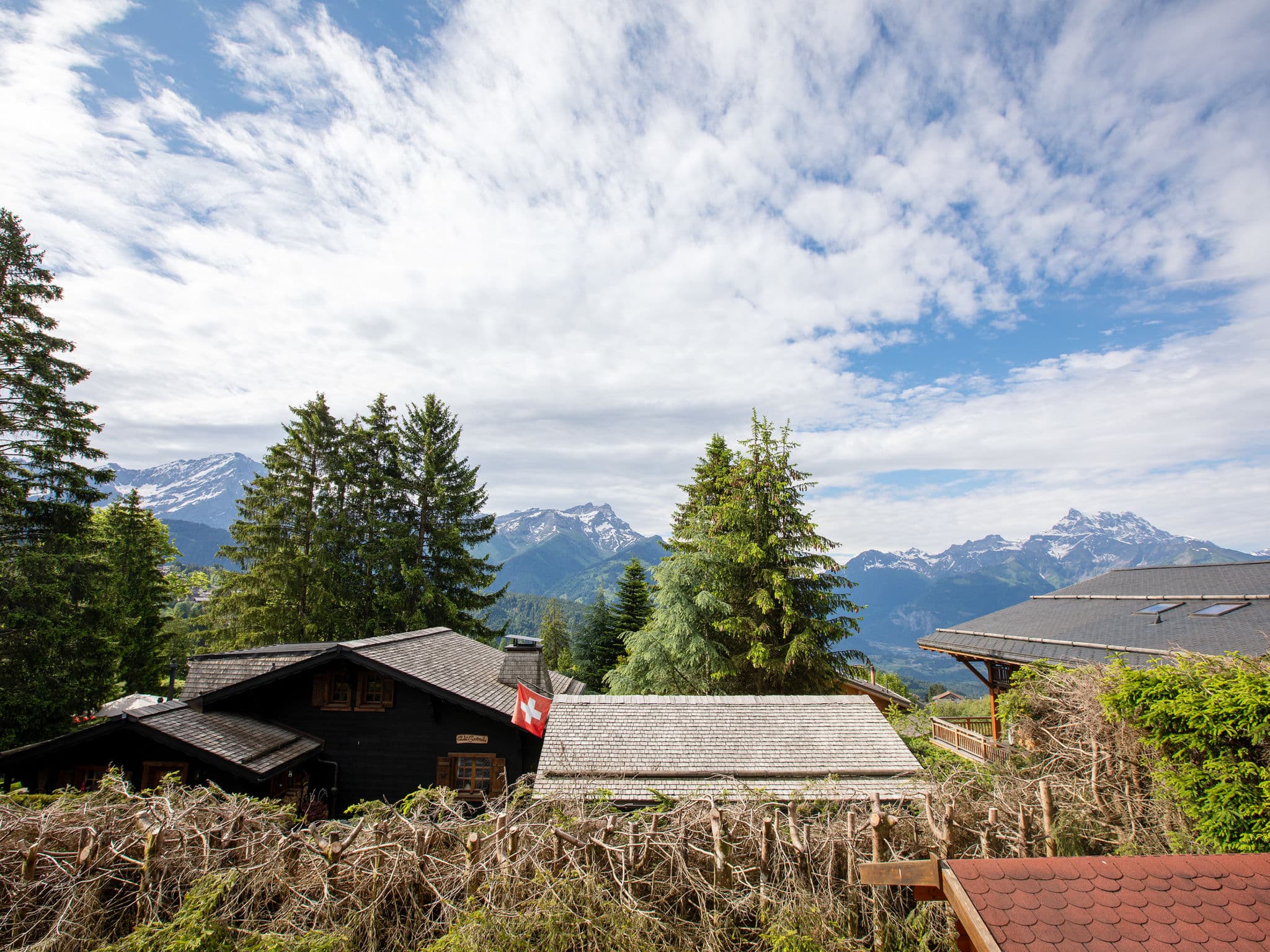 View
