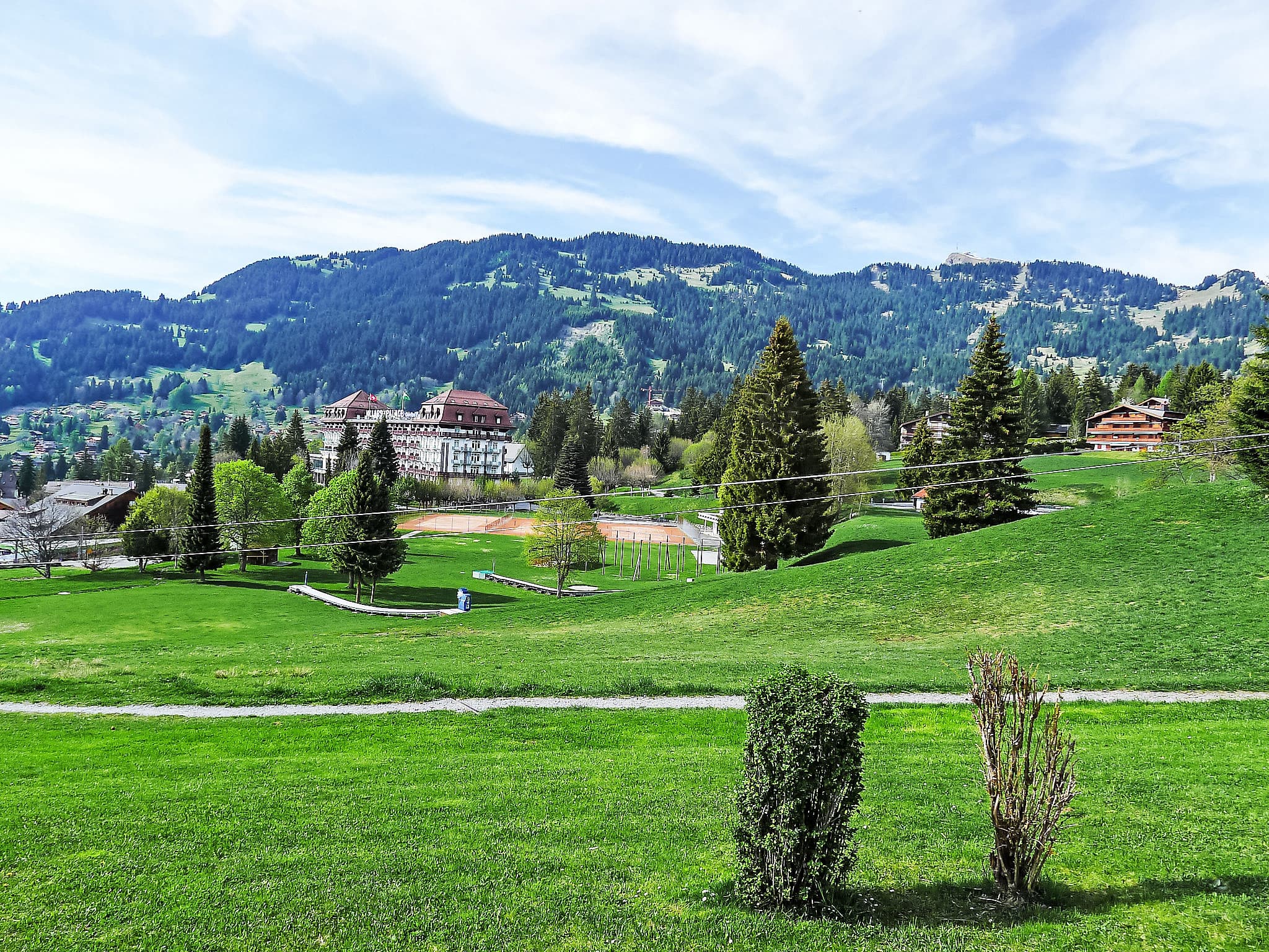 View