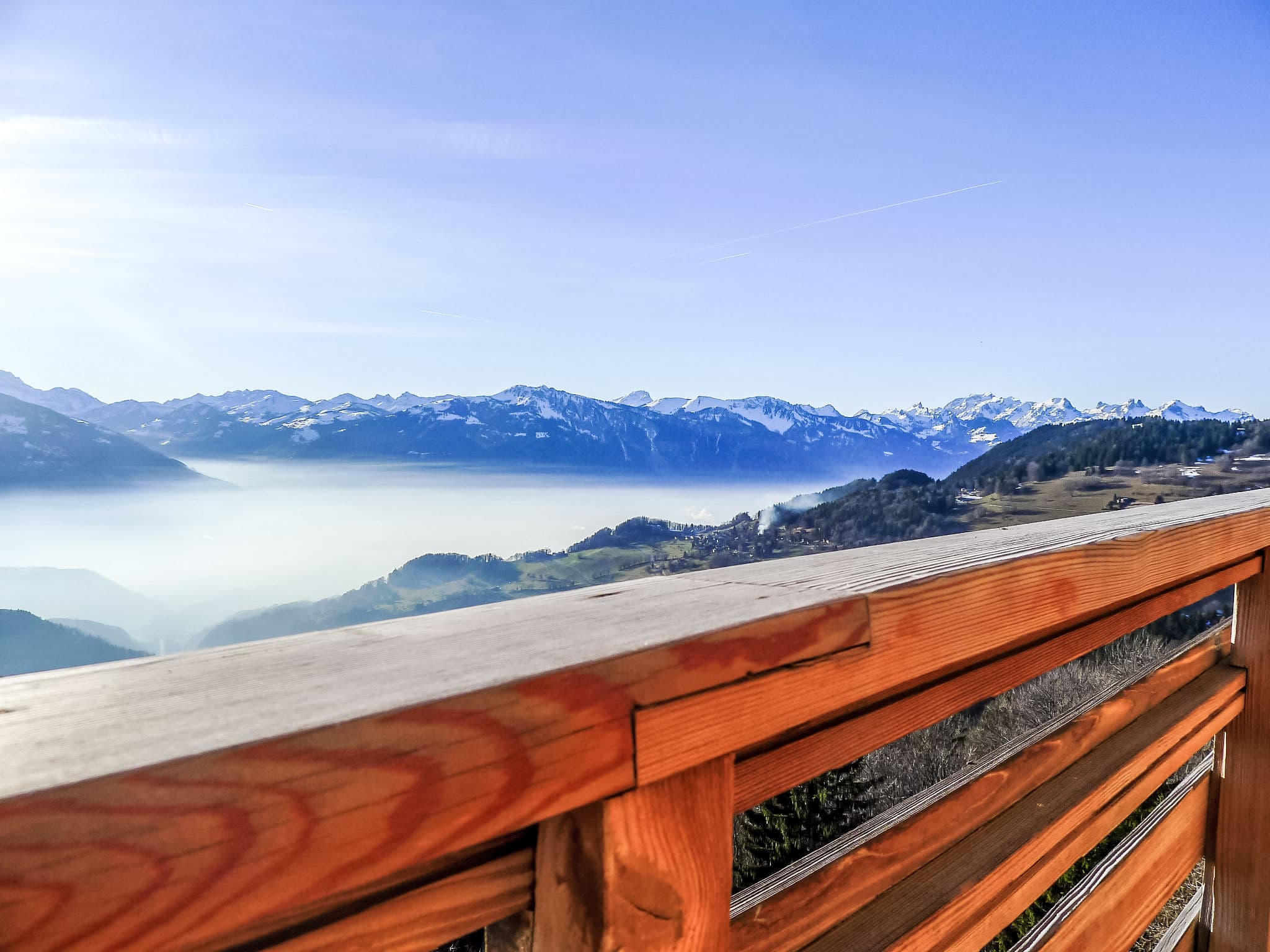 View