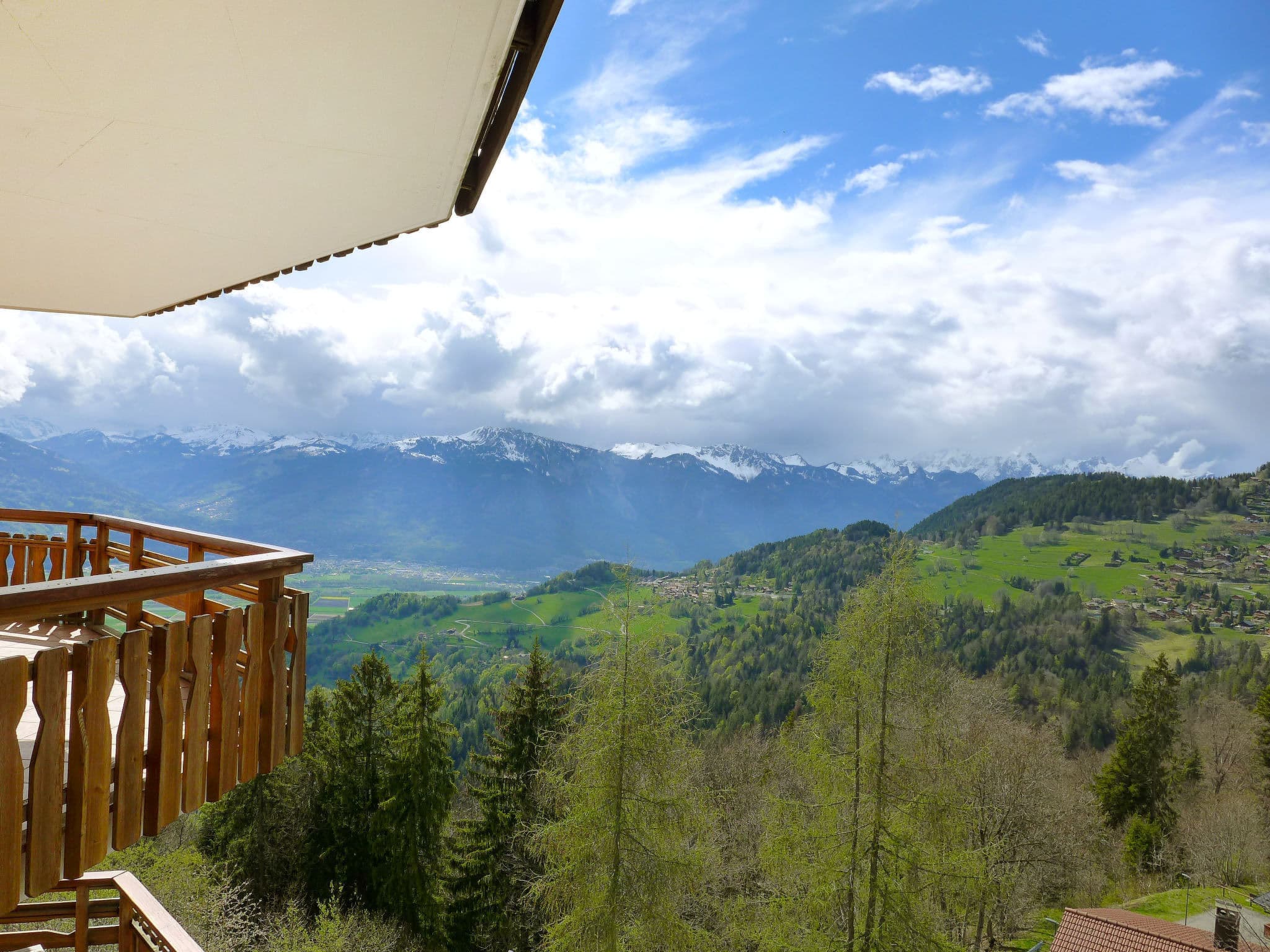 View