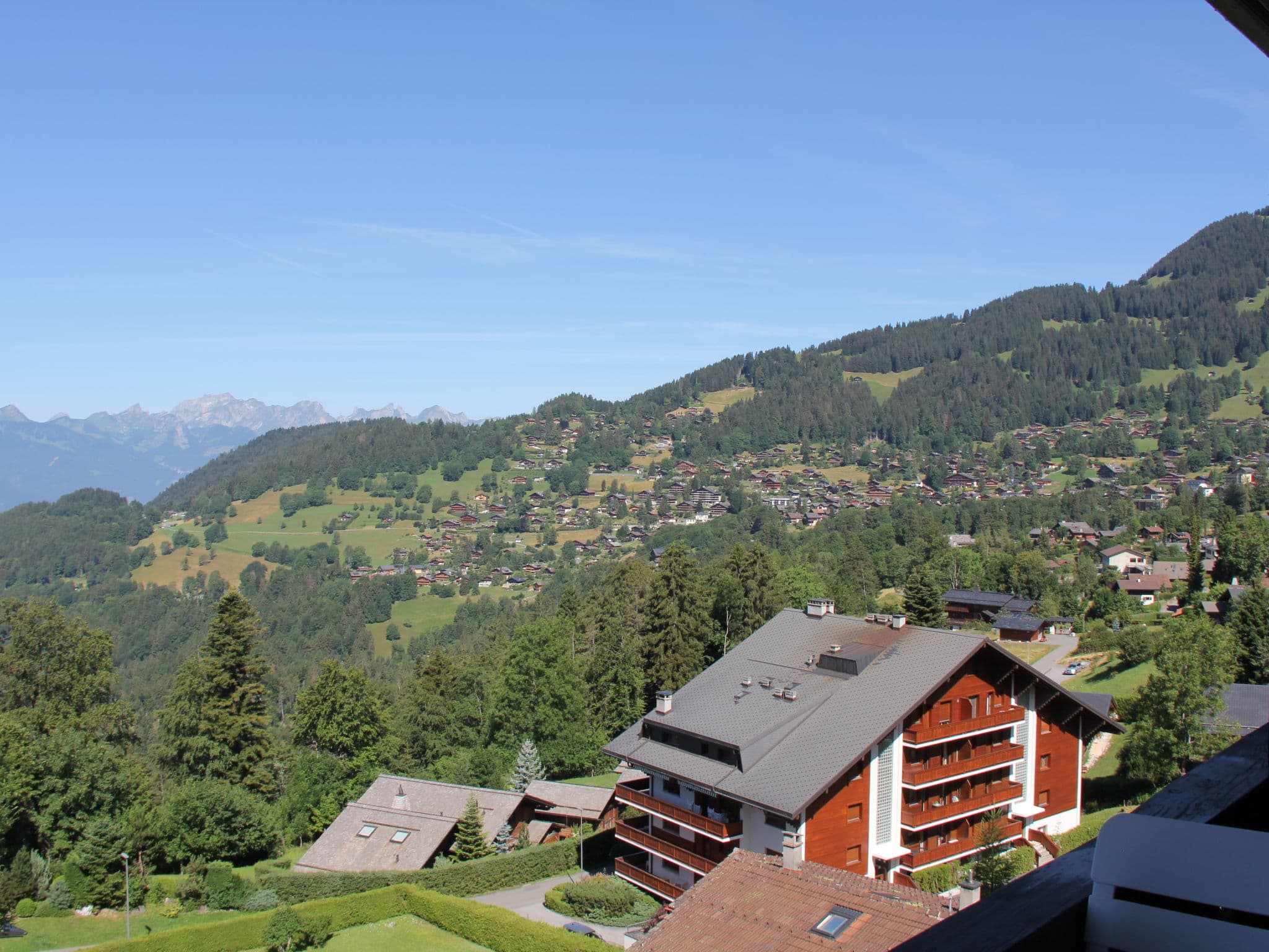 View