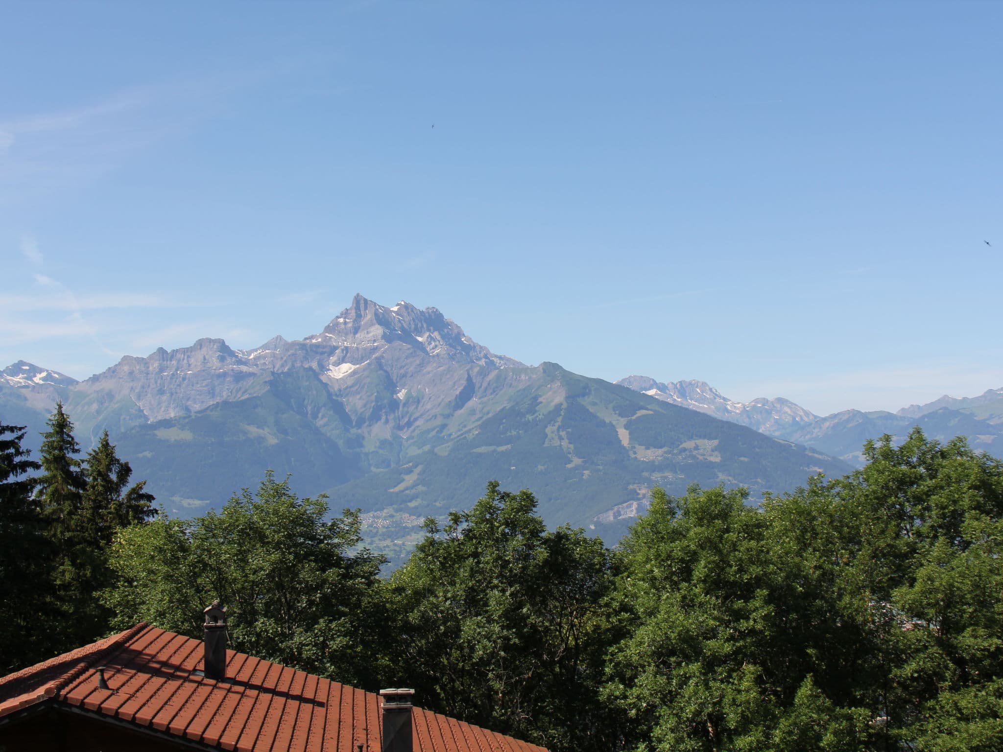View