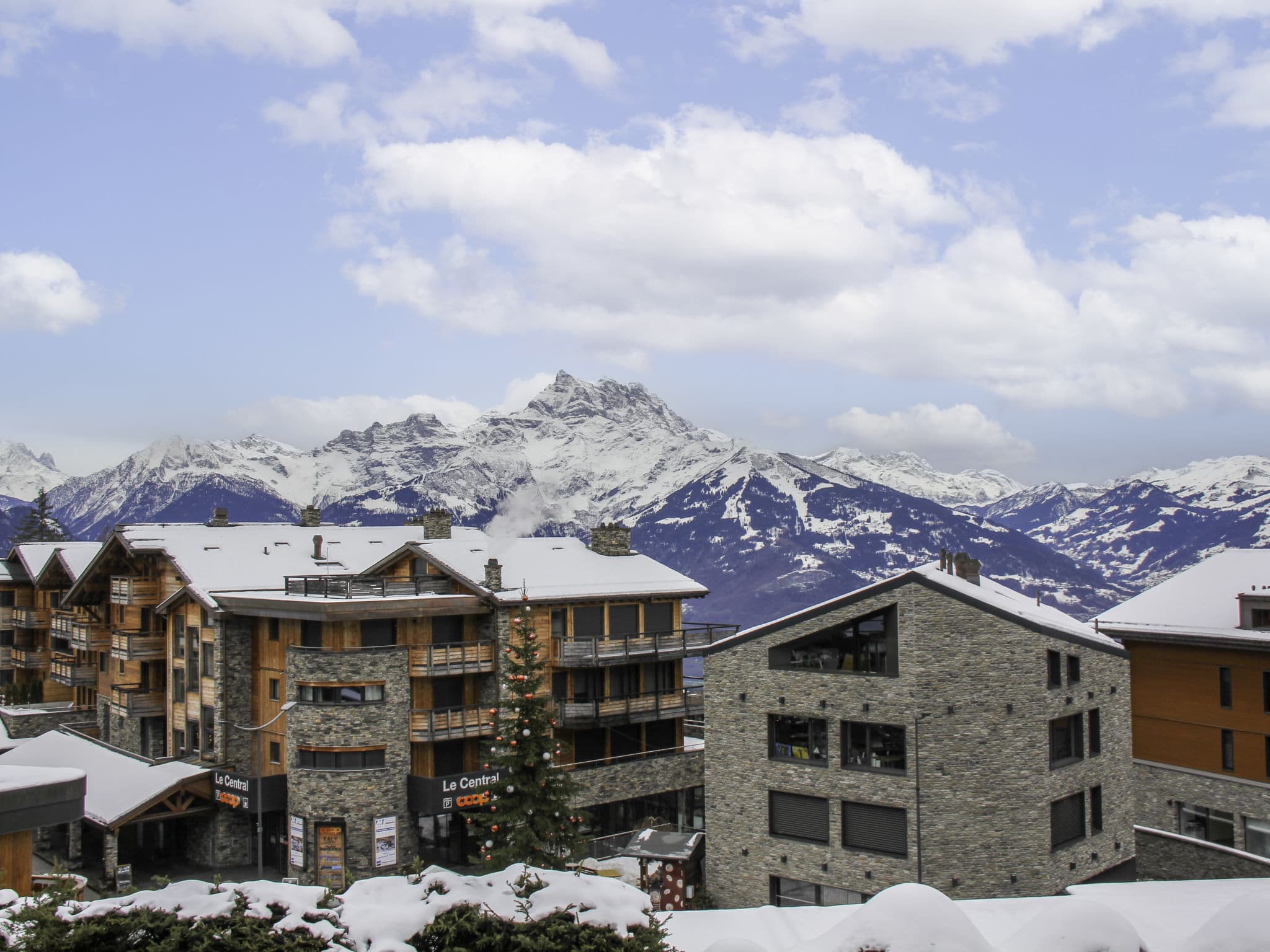 View