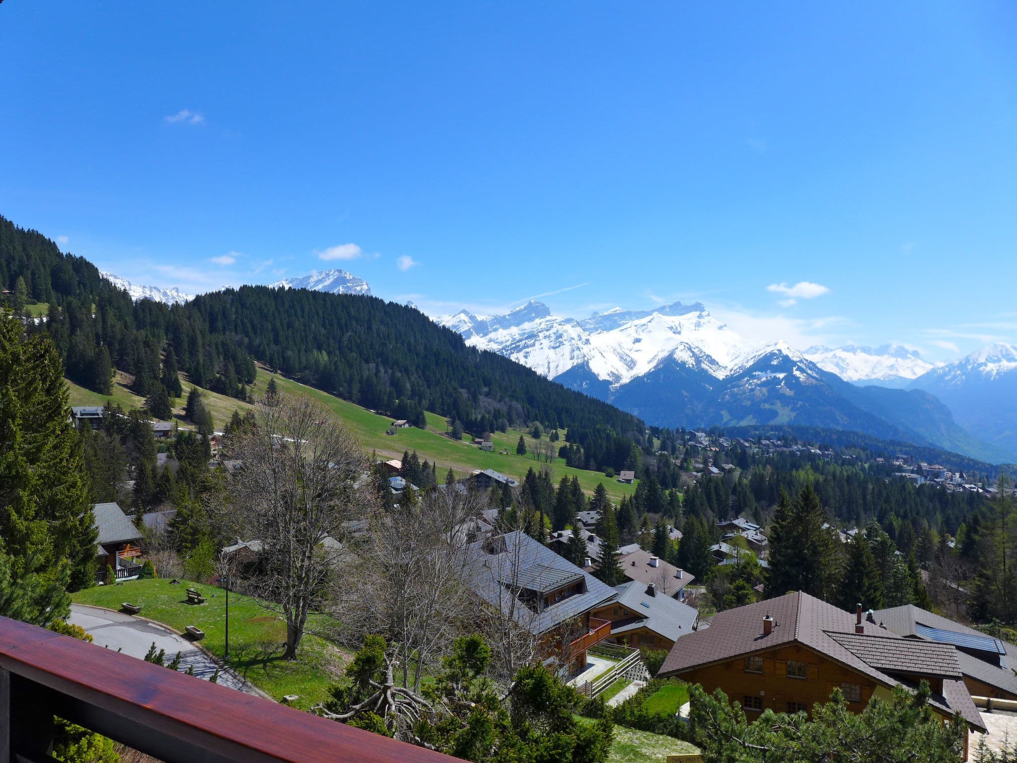 View