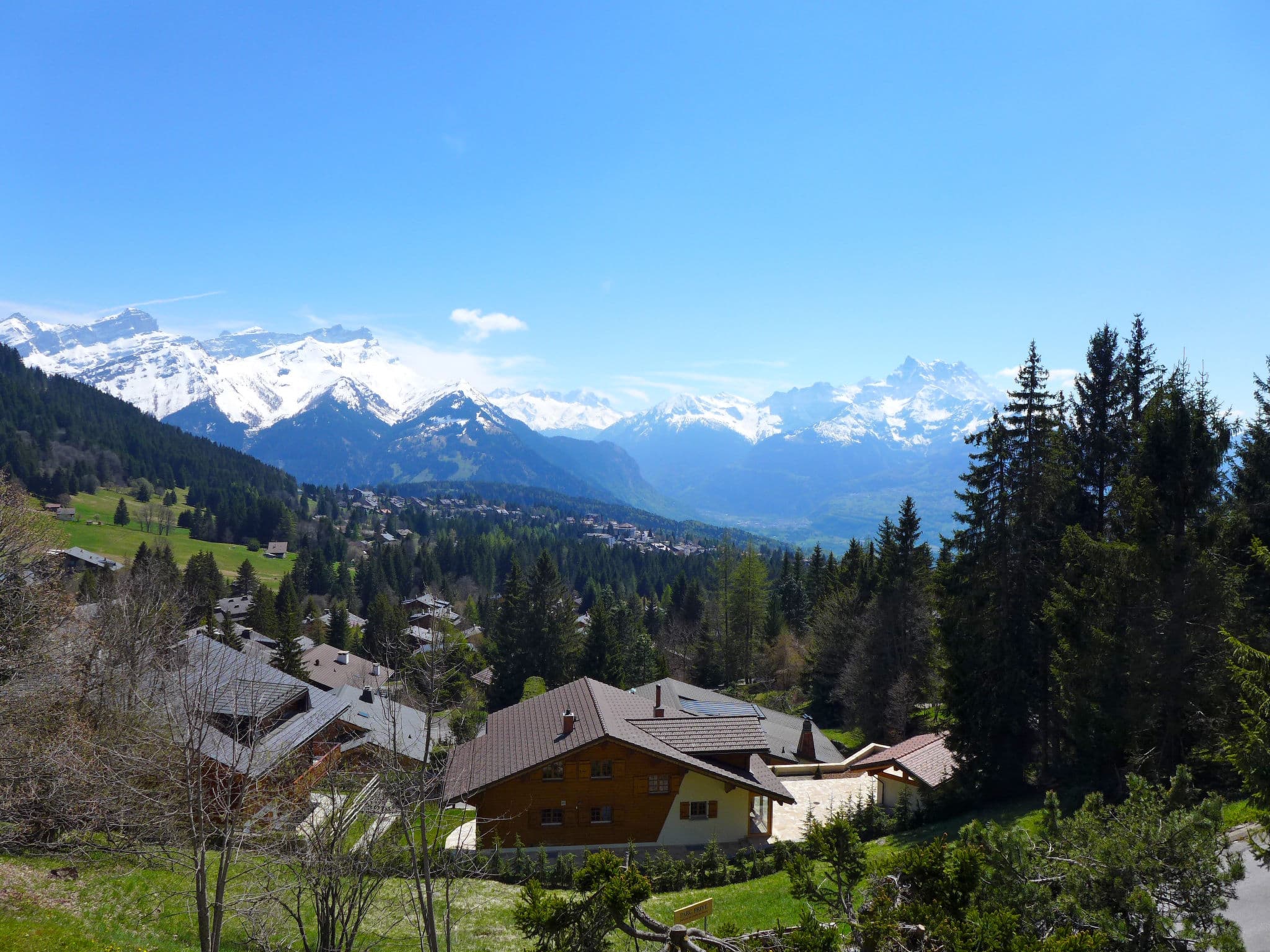 View