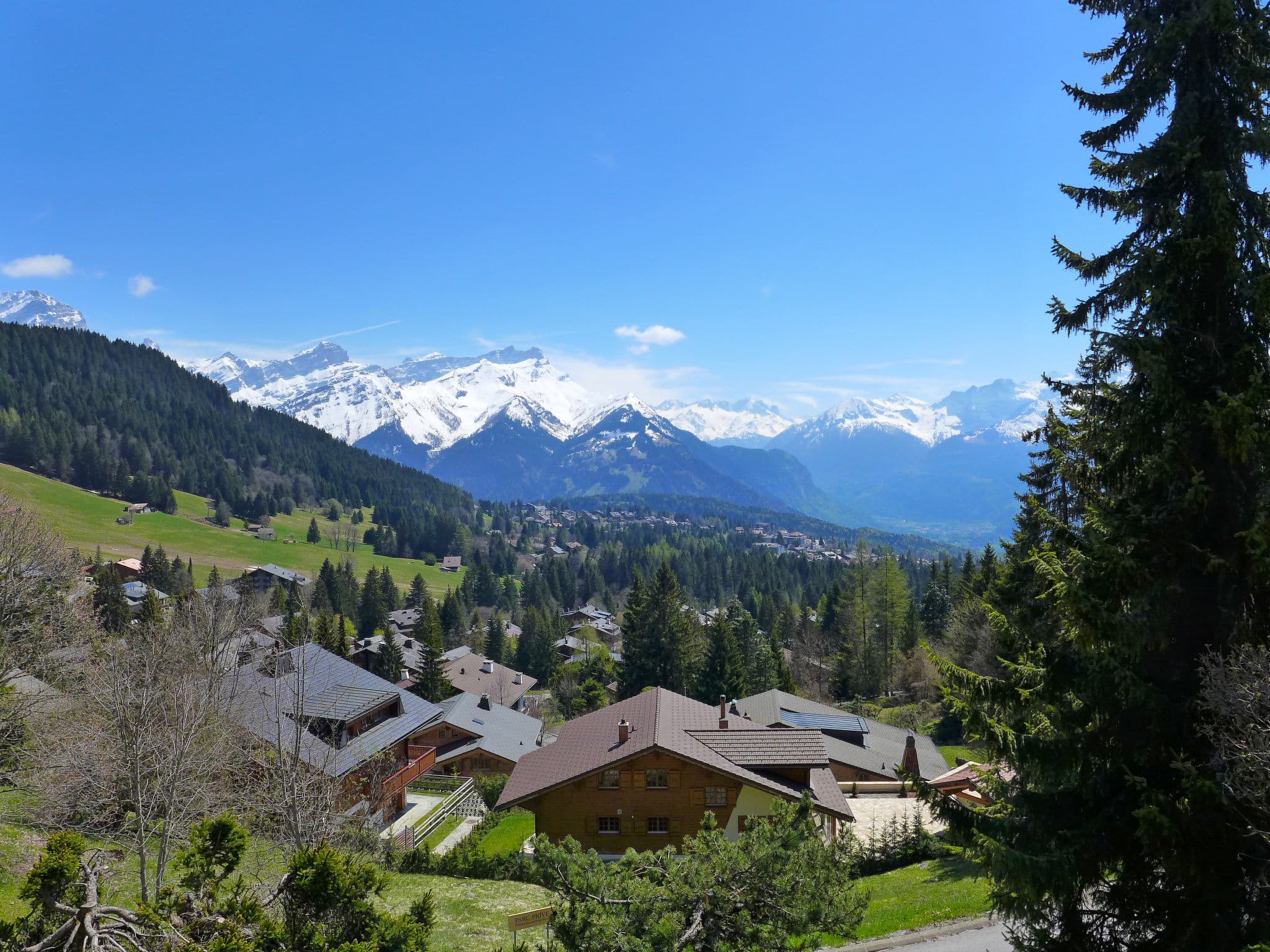 View