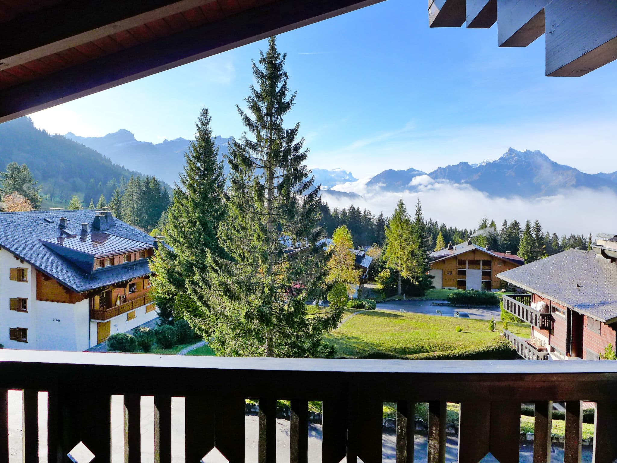 View