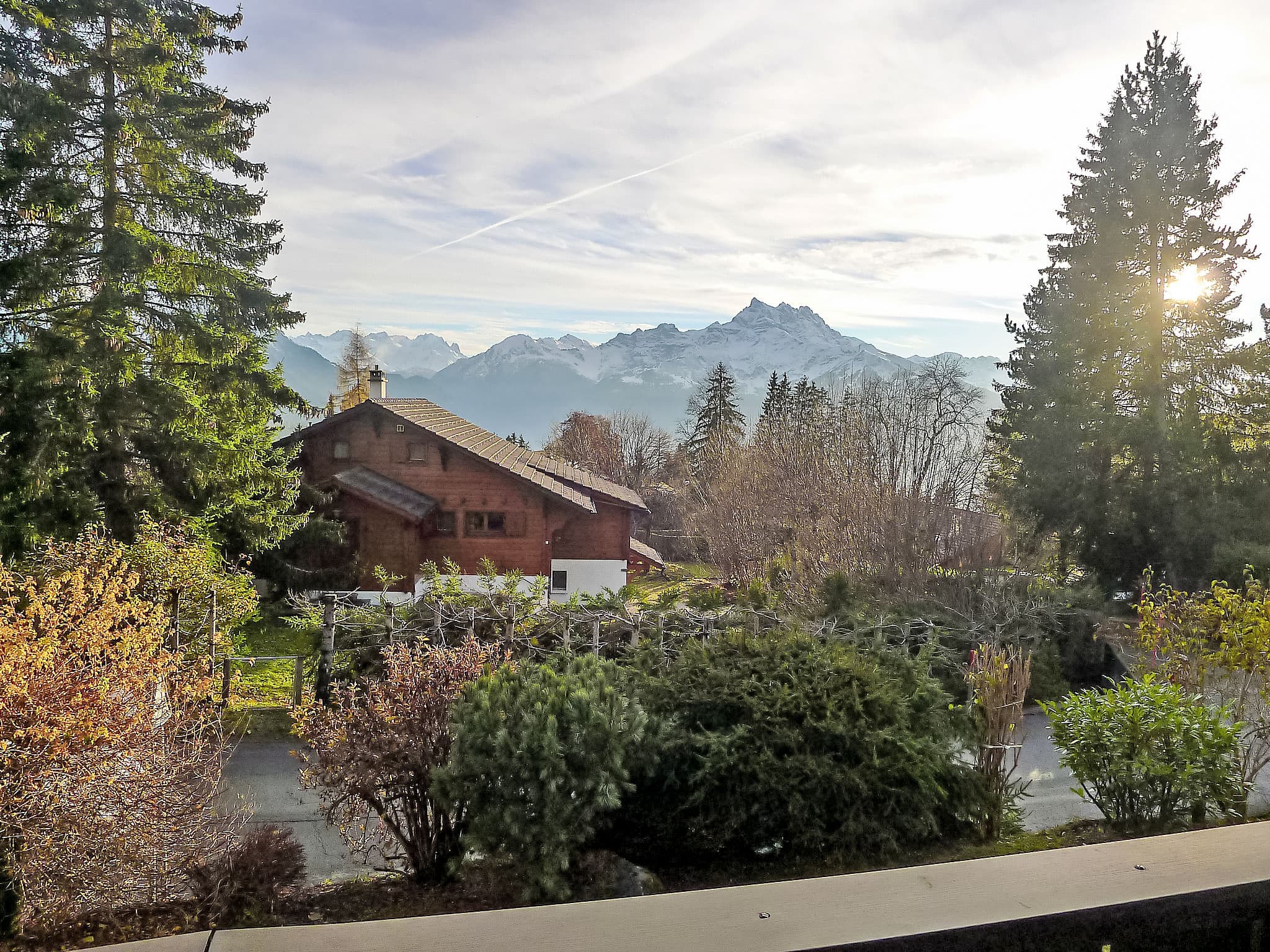 View