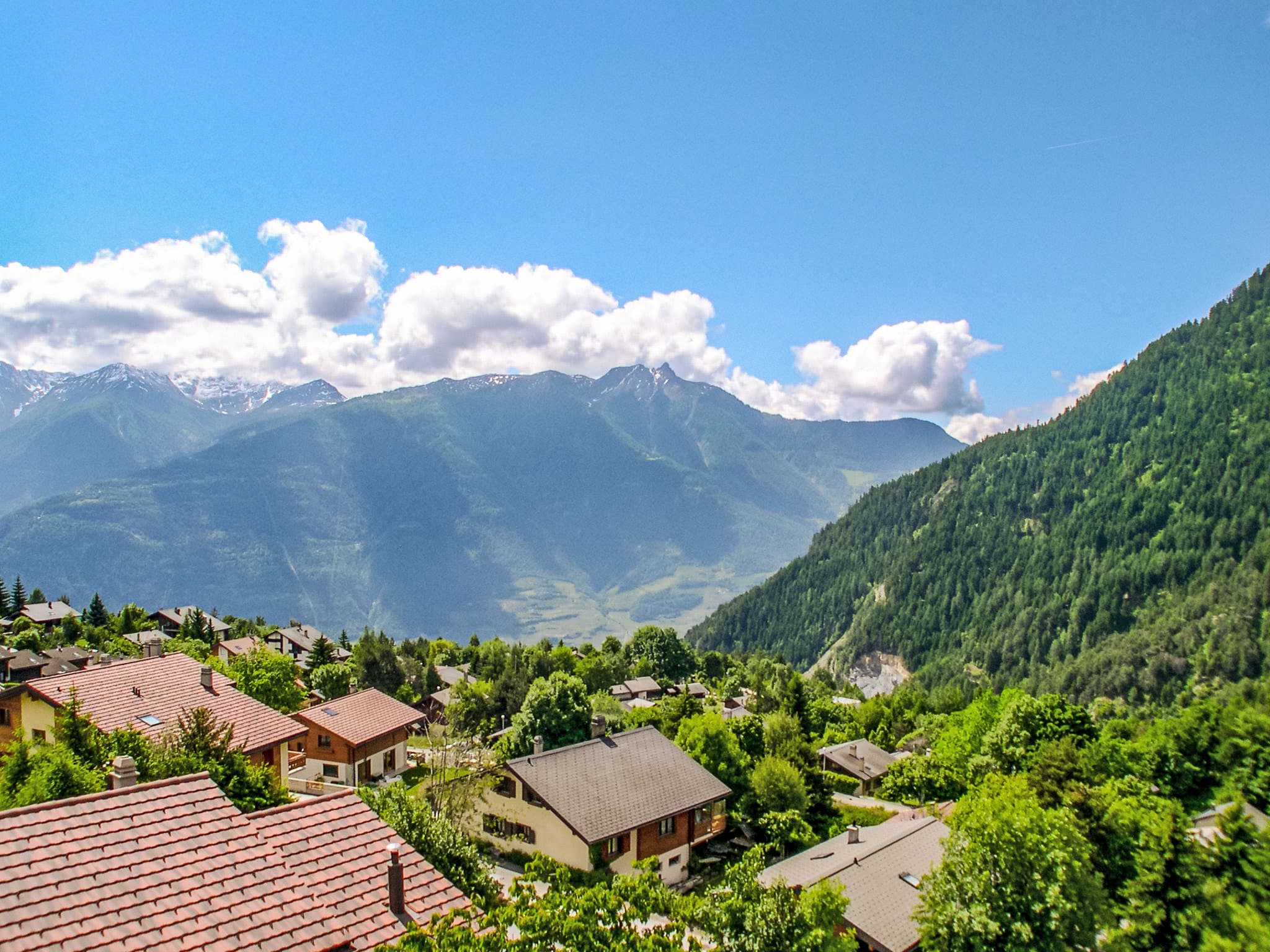 View