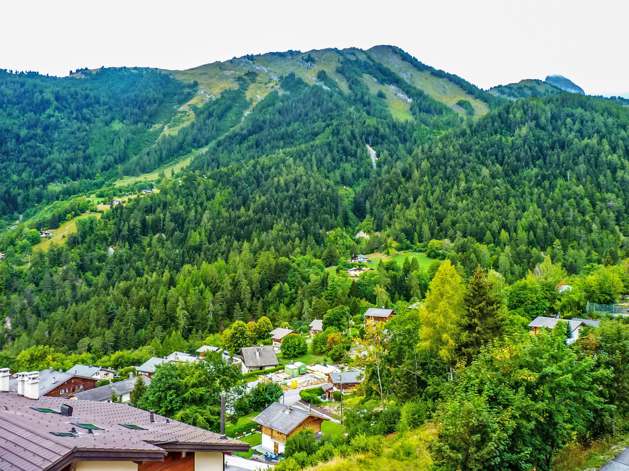View