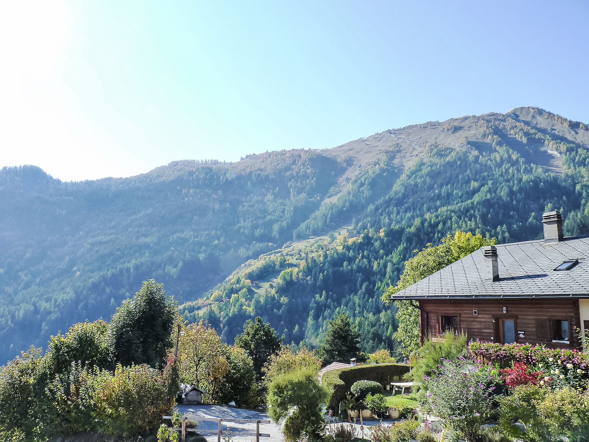 View