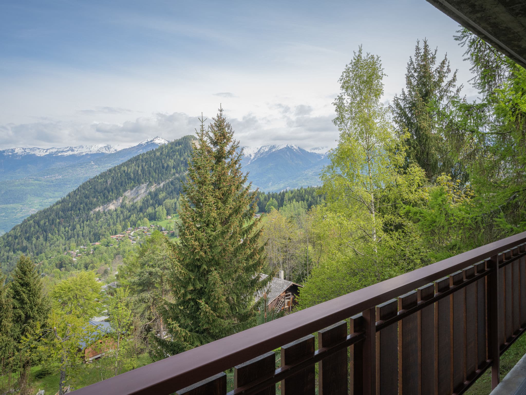 View
