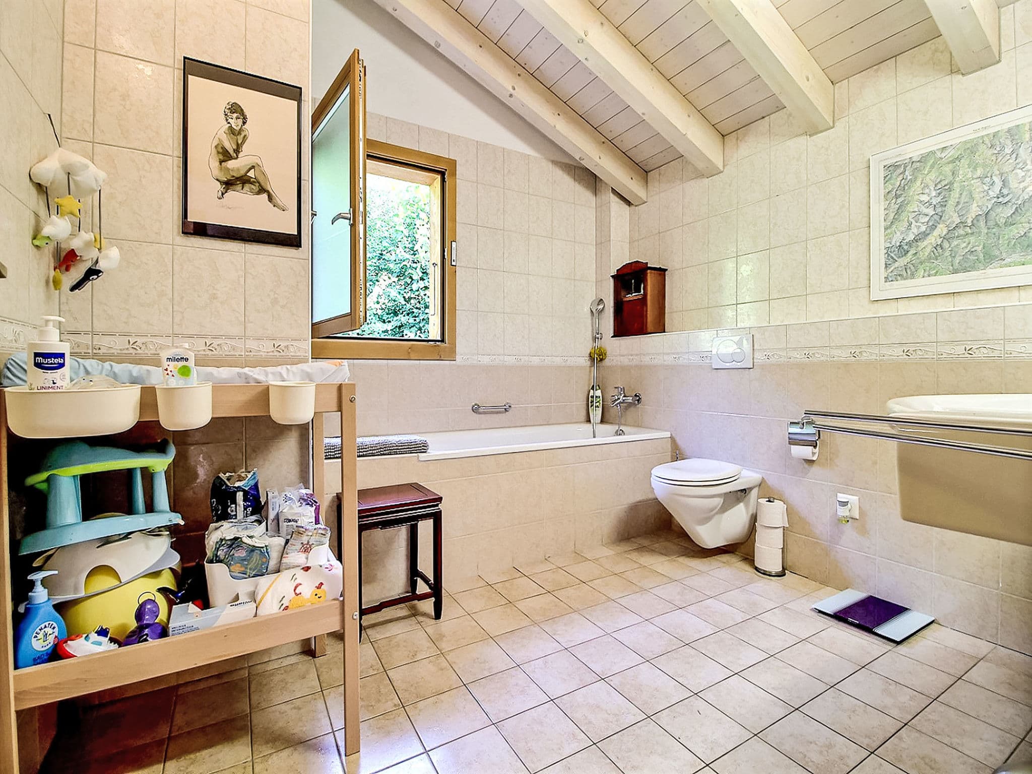 Bathroom / Wellness