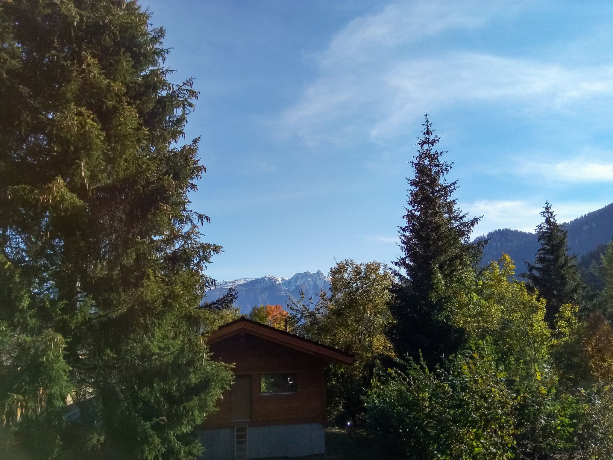 View