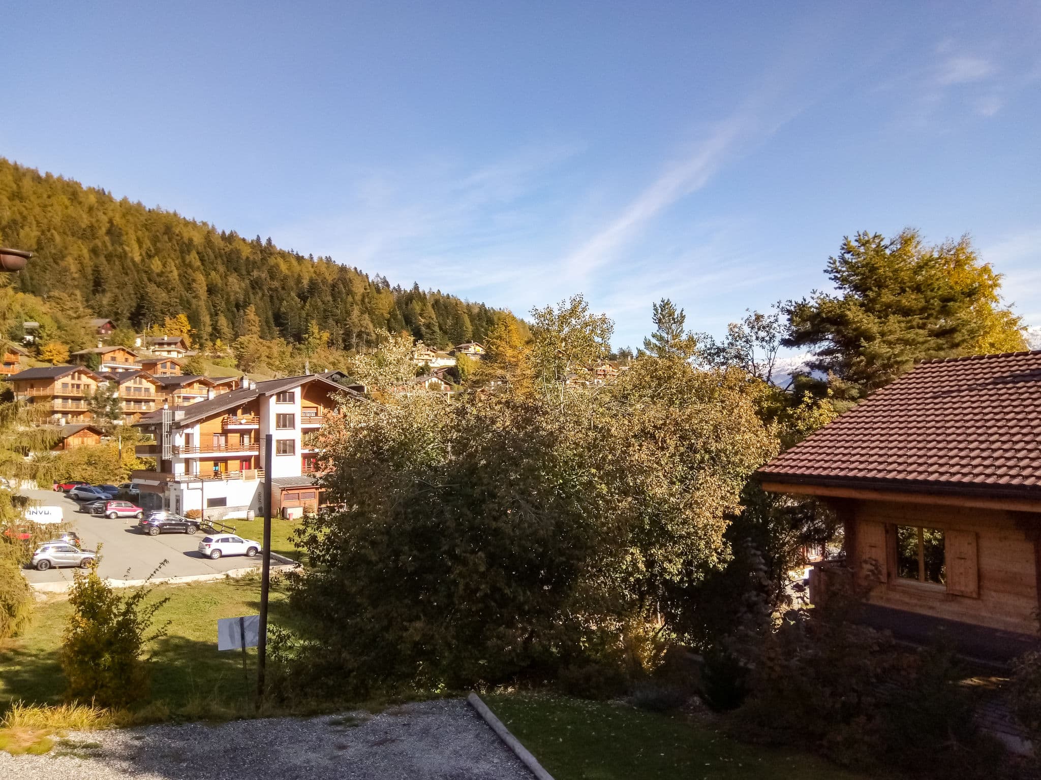 View