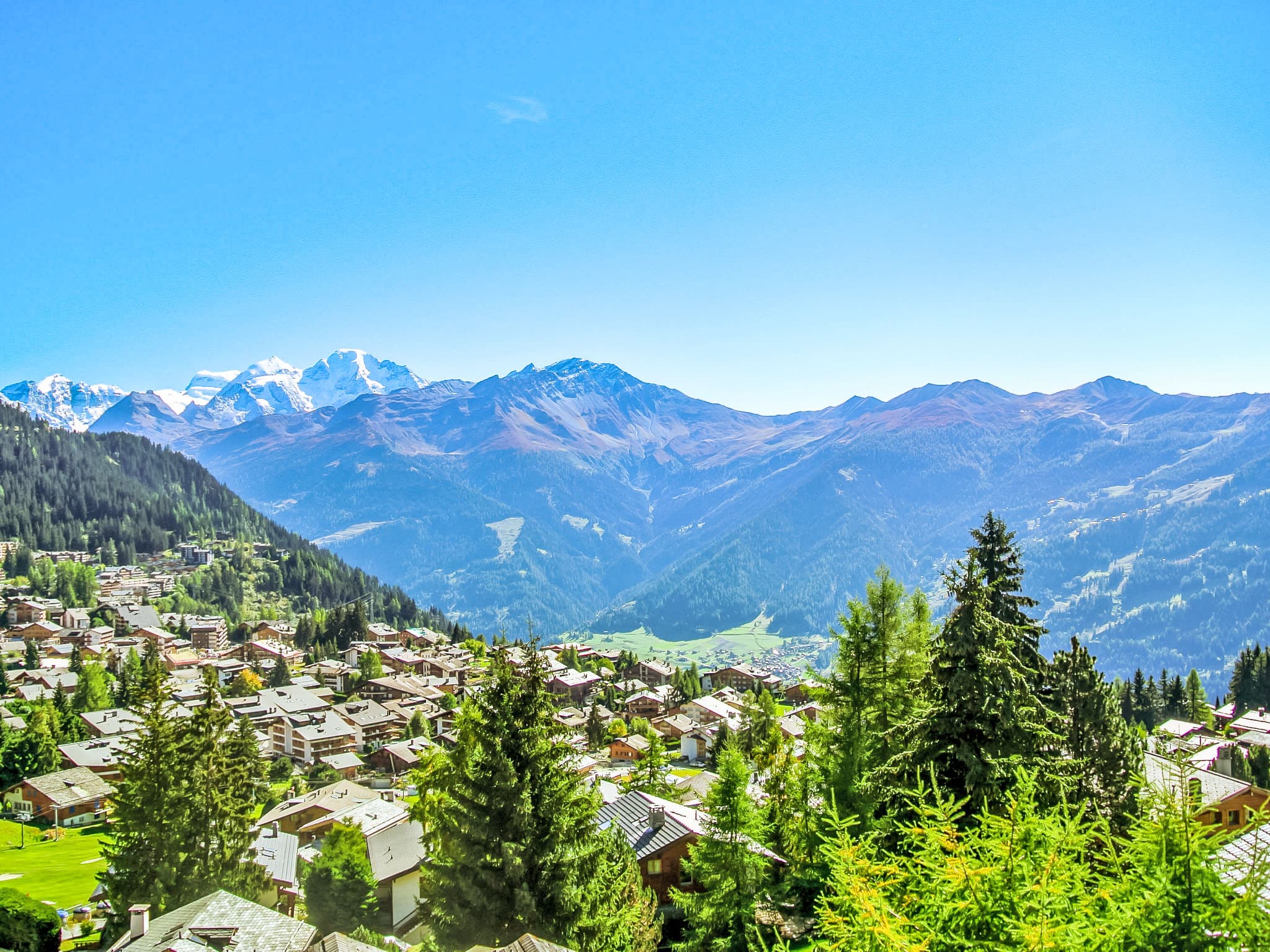 View