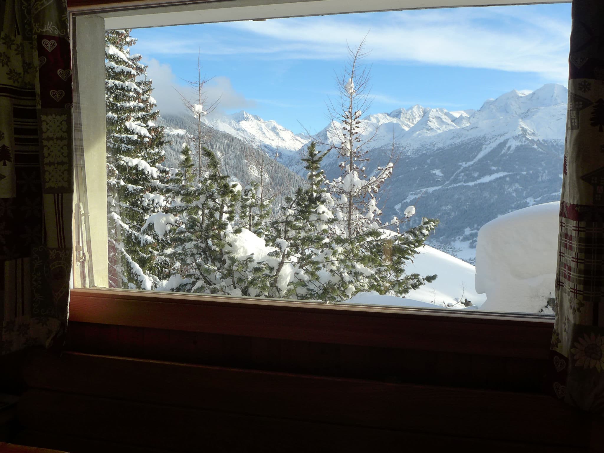 View