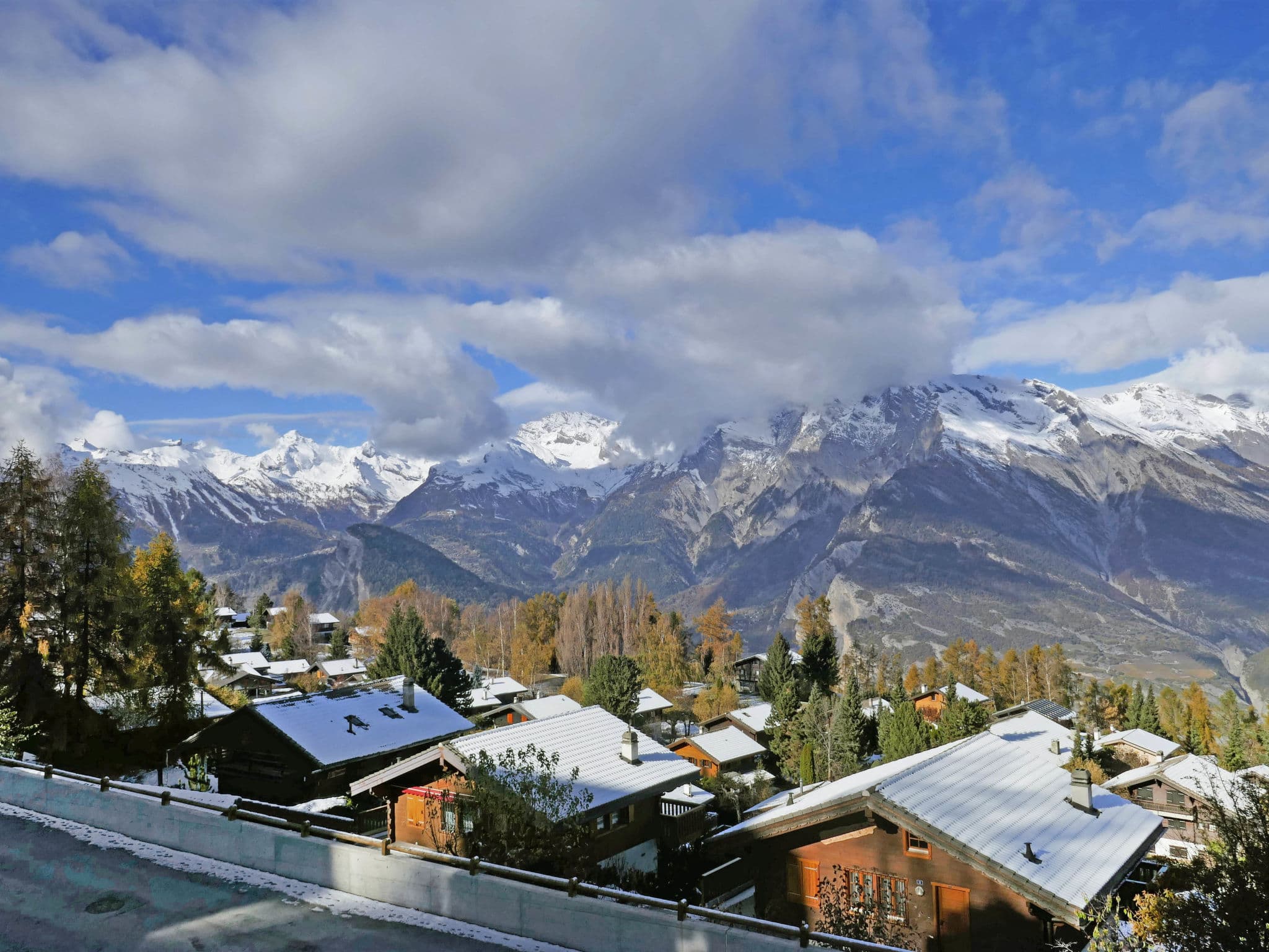 View