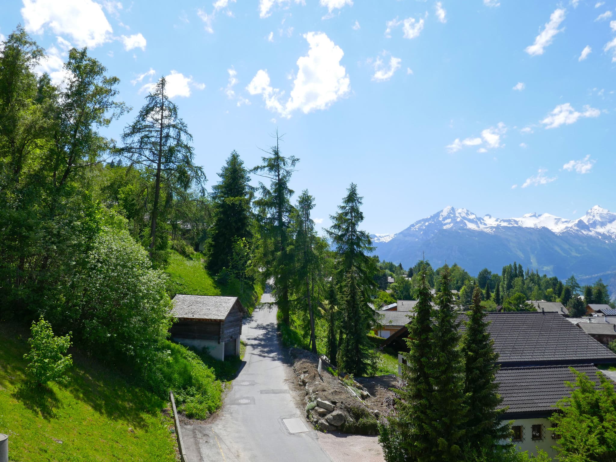 View