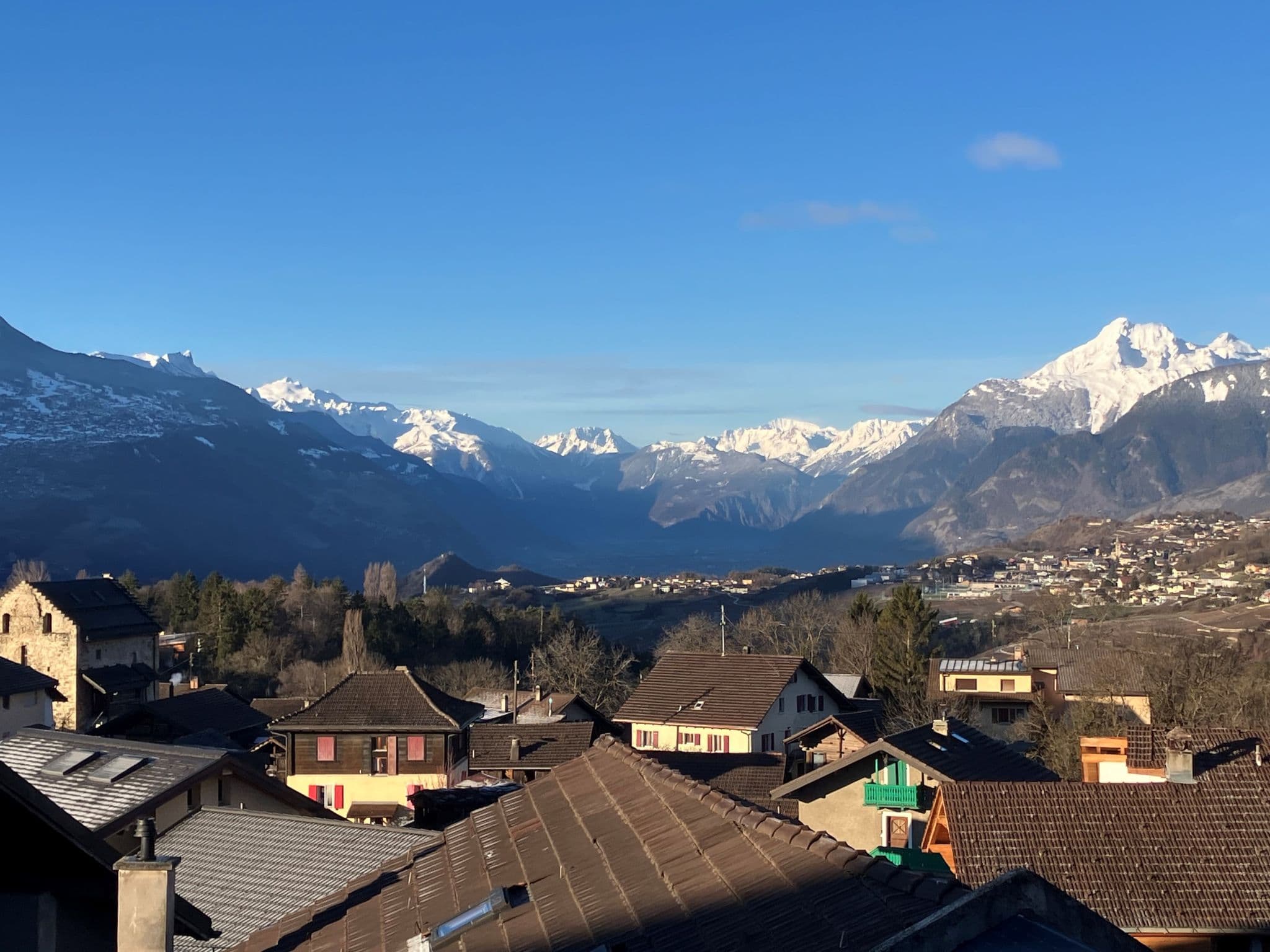 View