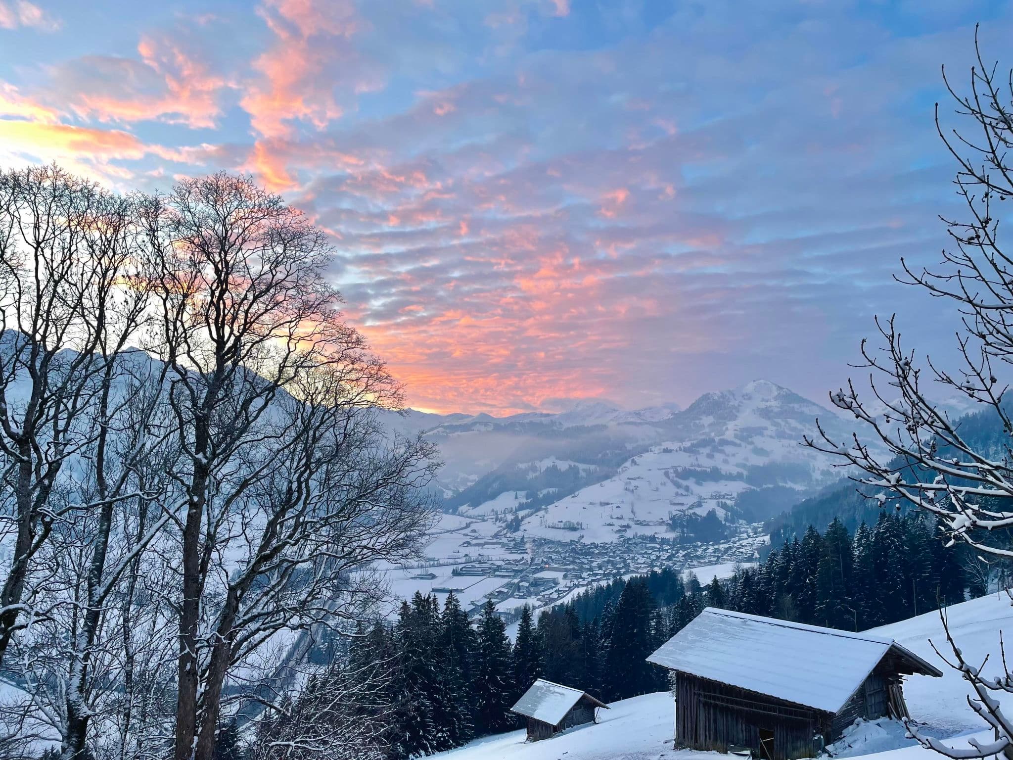 View