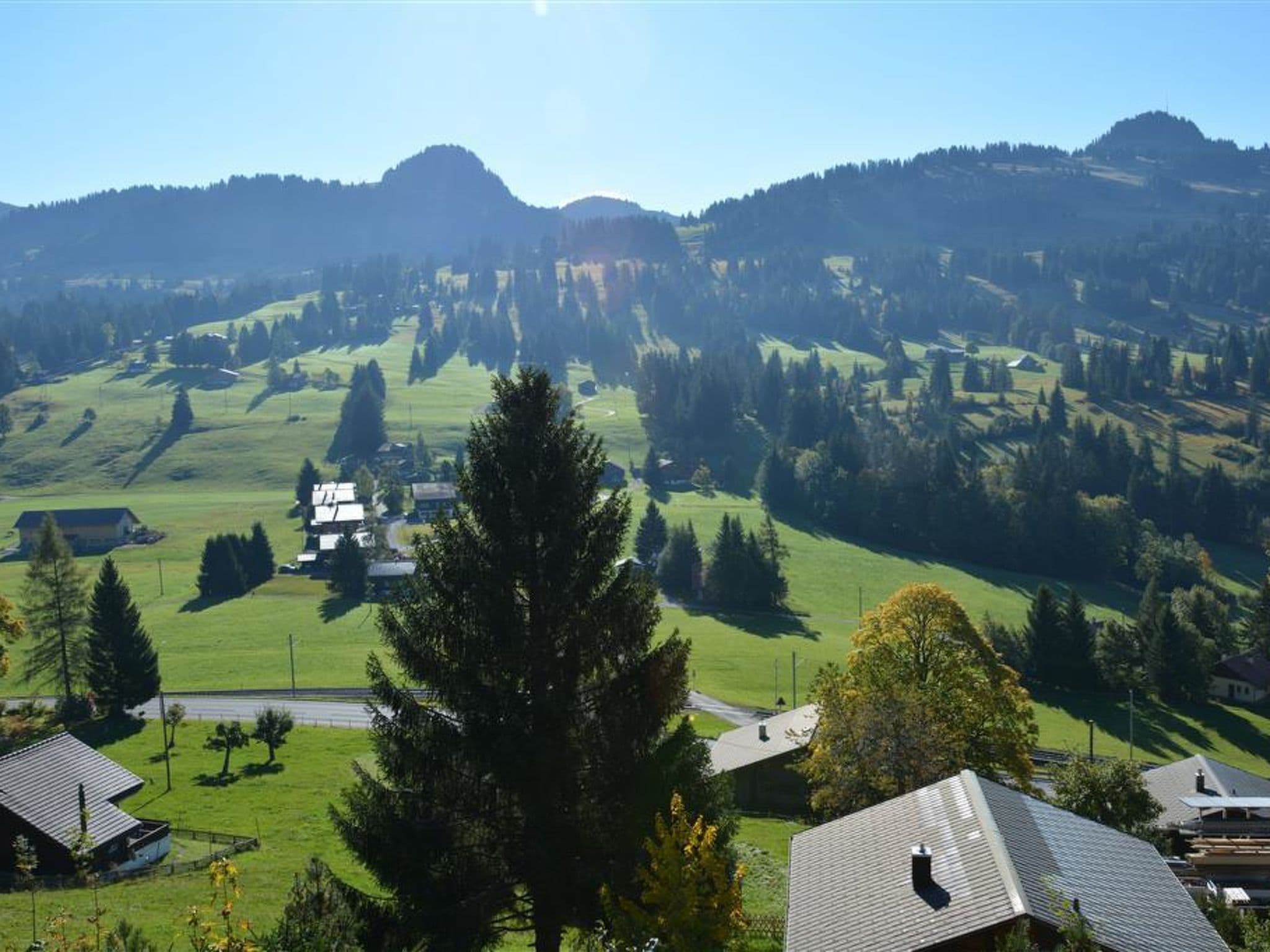 View