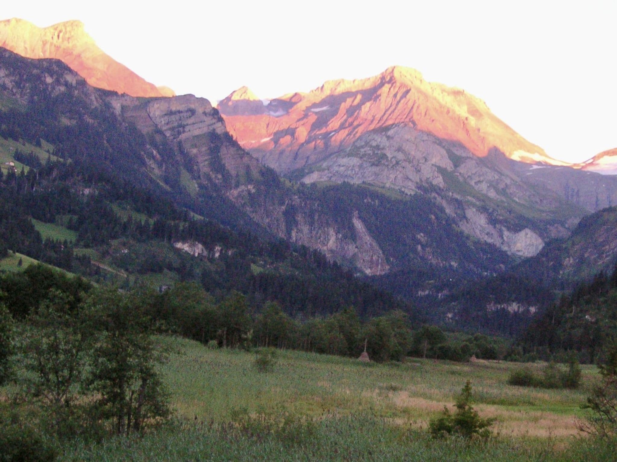 View