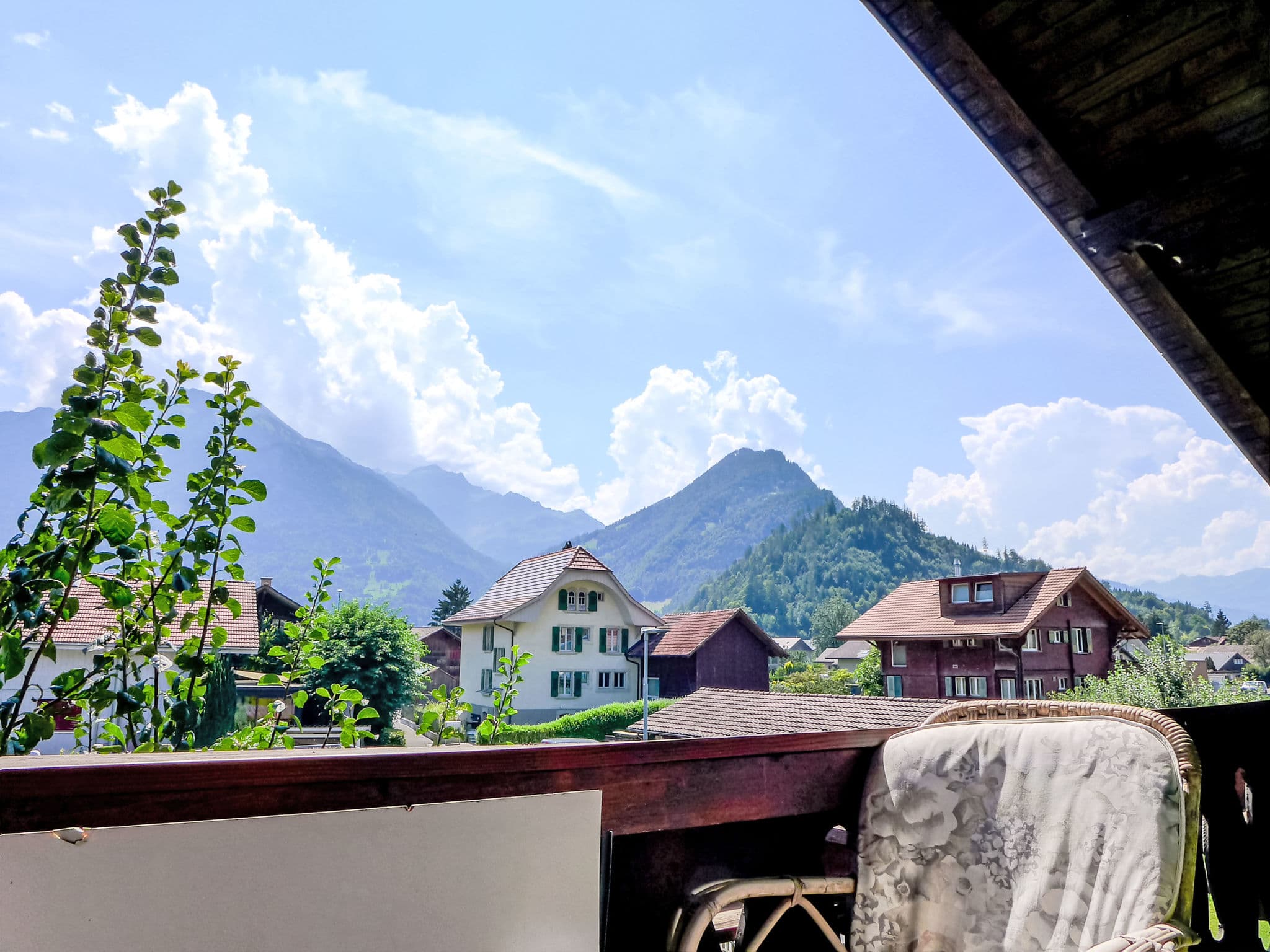 View