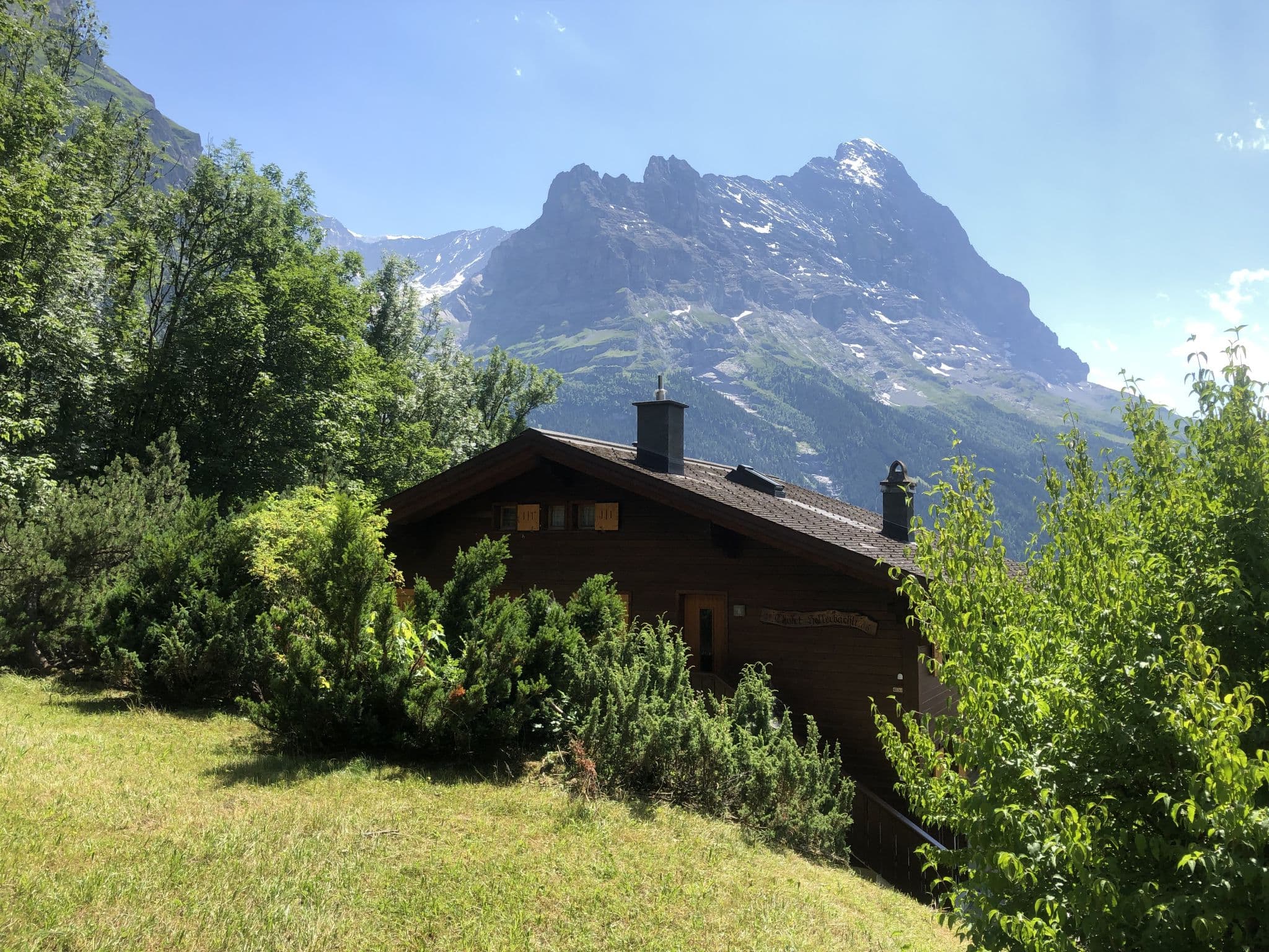 View